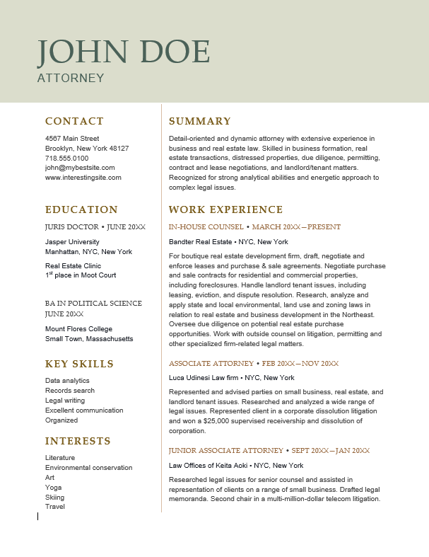 Free resume template example 3