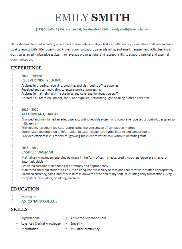 Professional Resume Templates