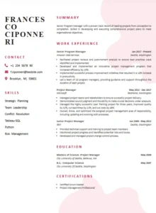 Data Analyst Resume 1