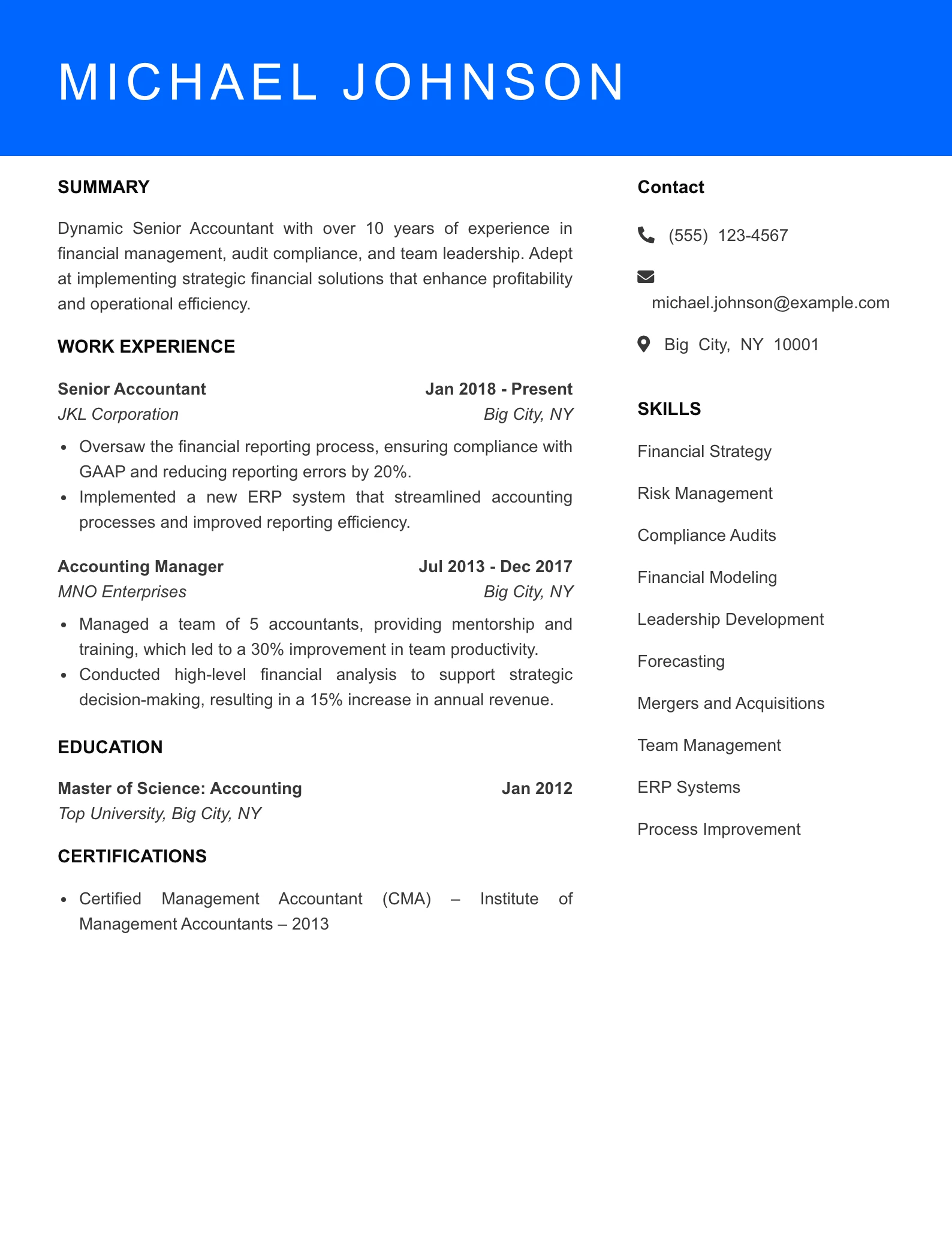 Senior Level Accountant Resume Sample