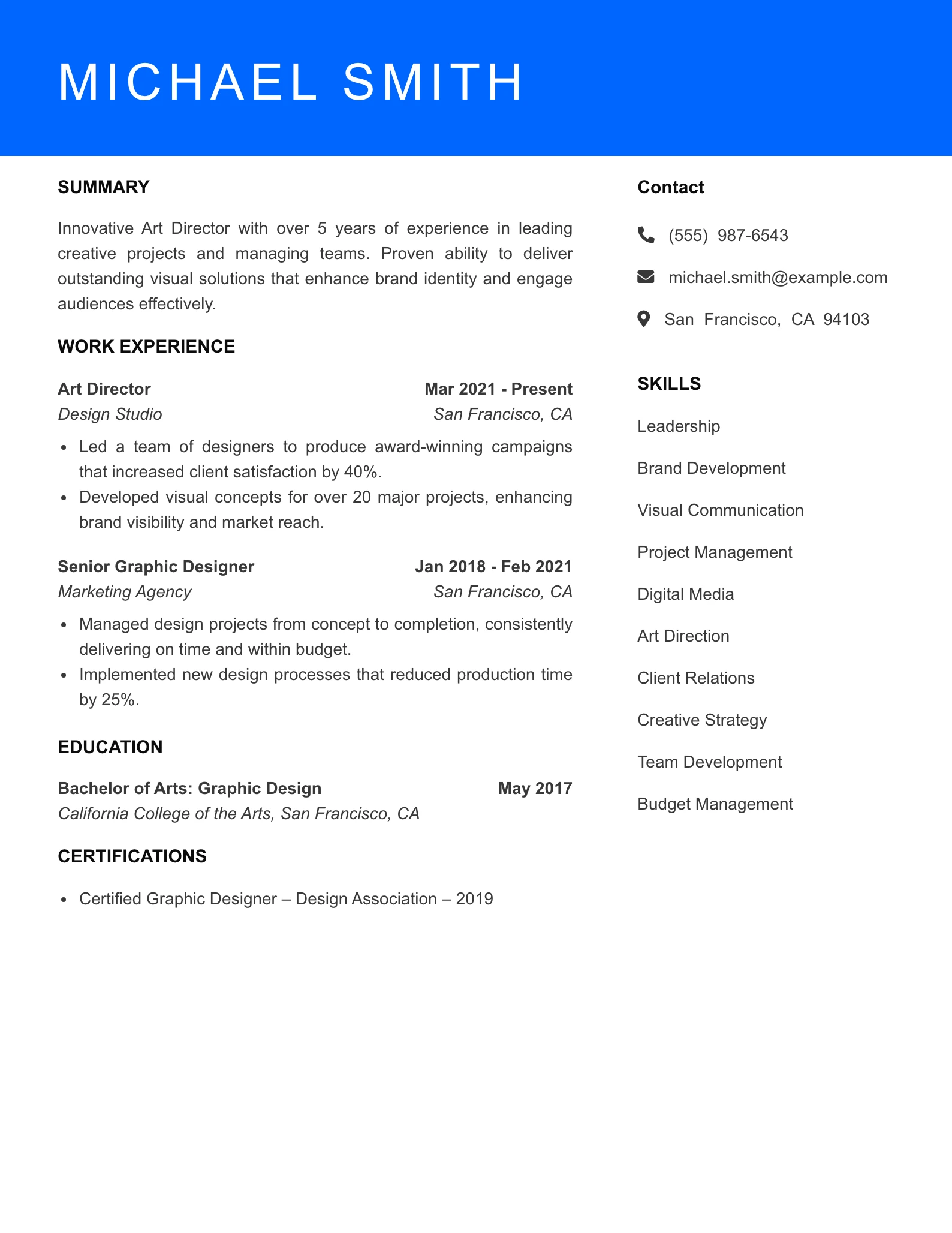 Mid Level Resume Preview