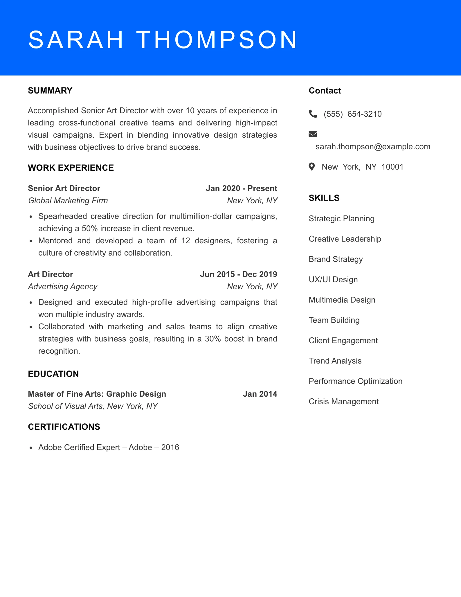 Senior Level Resume Preview