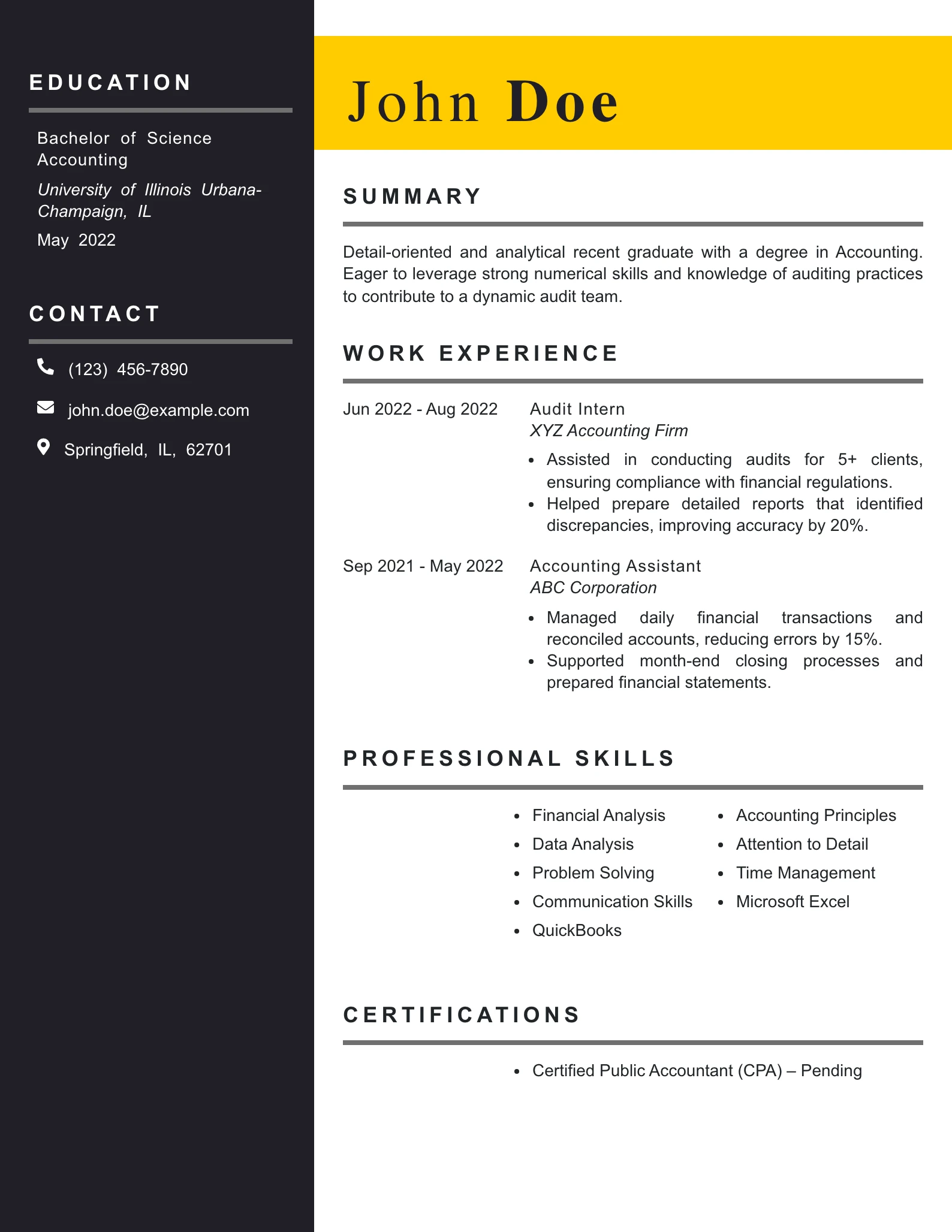 Entry Level Auditor Resume Example