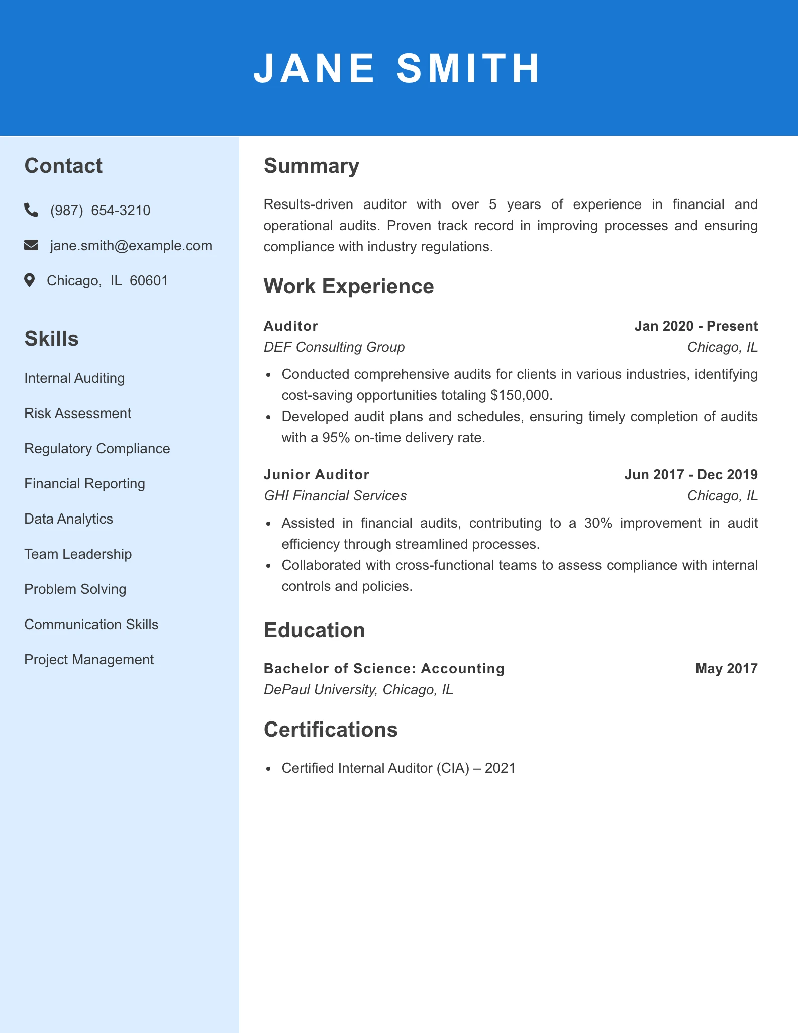 Mid Level Auditor Resume Example