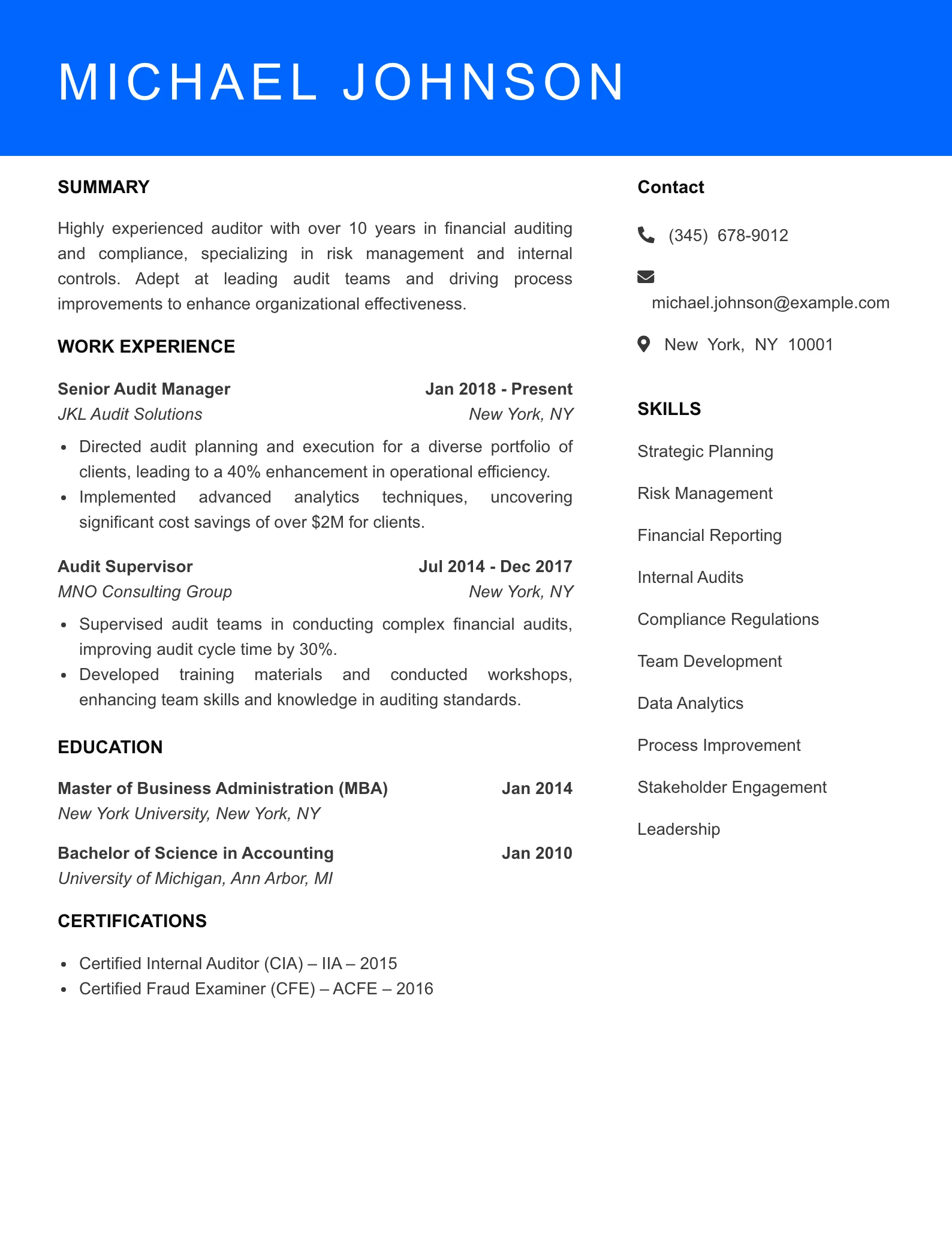 Senior Level Auditor Resume Sample