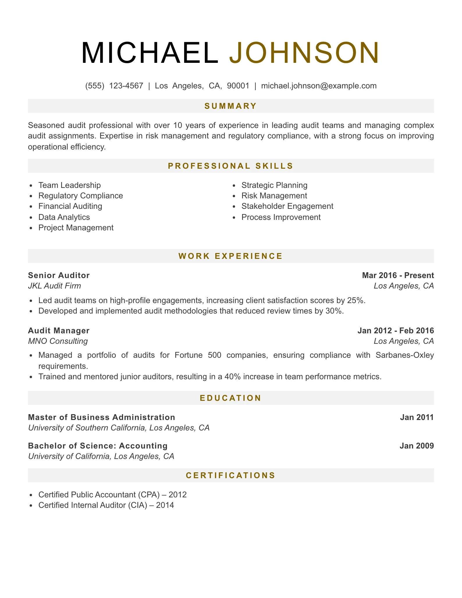 Senior Level Auditor Resume Example
