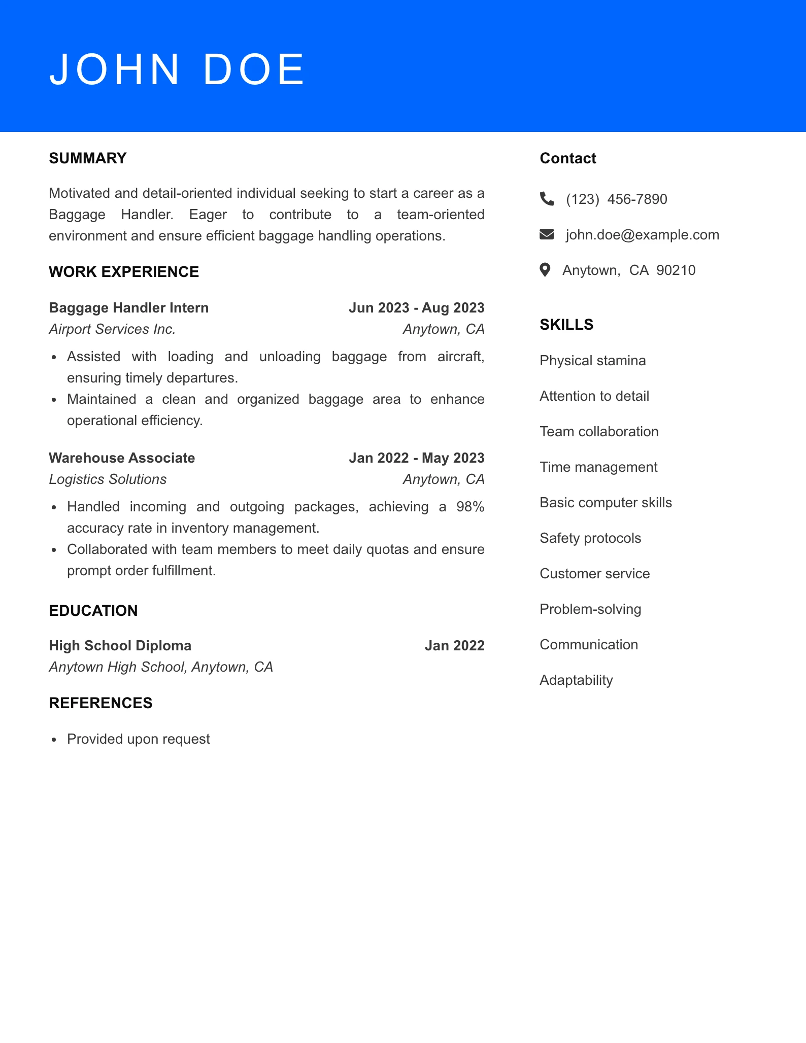 Selected Baggage Handler Resume
