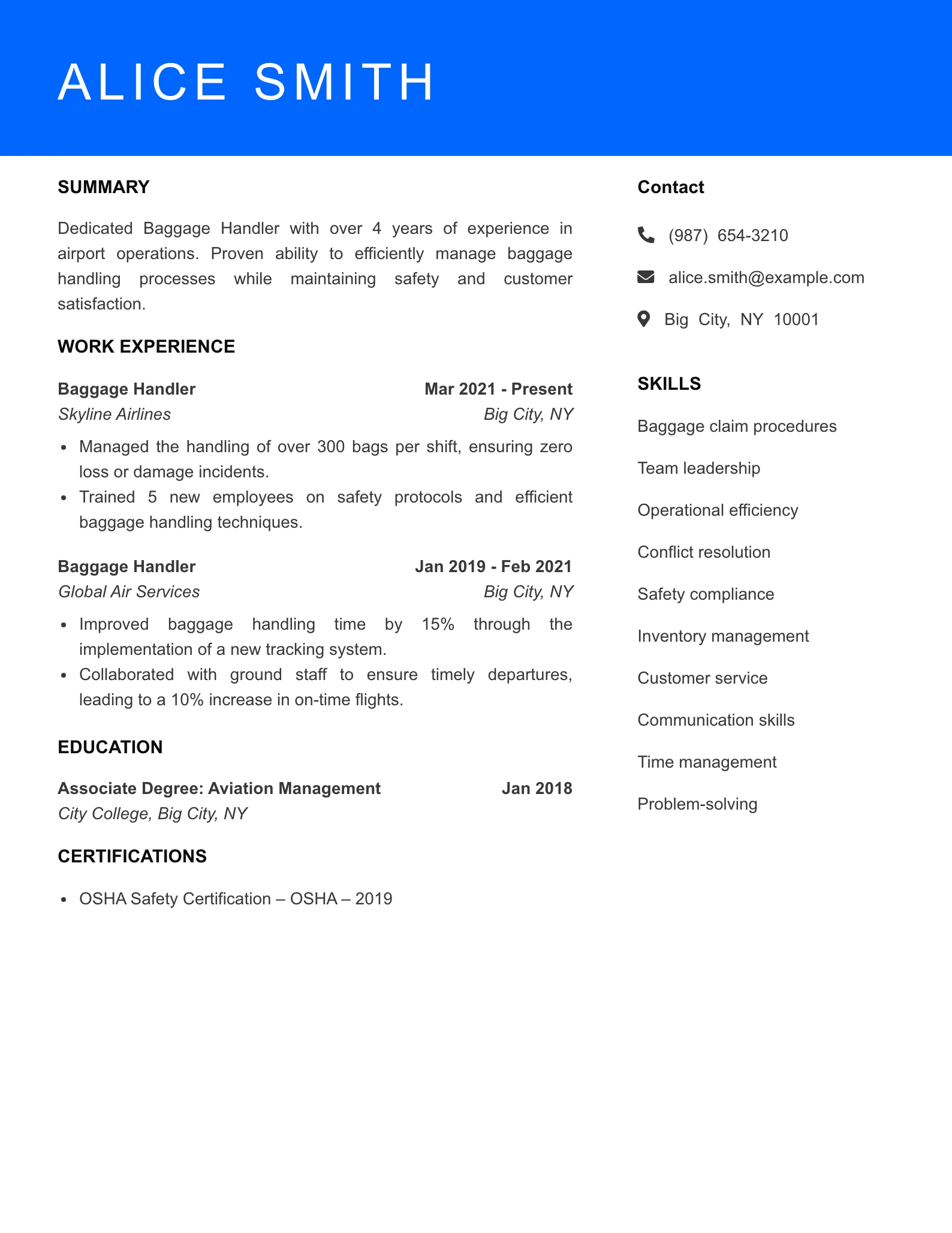 Mid Level Baggage Handler Resume Sample