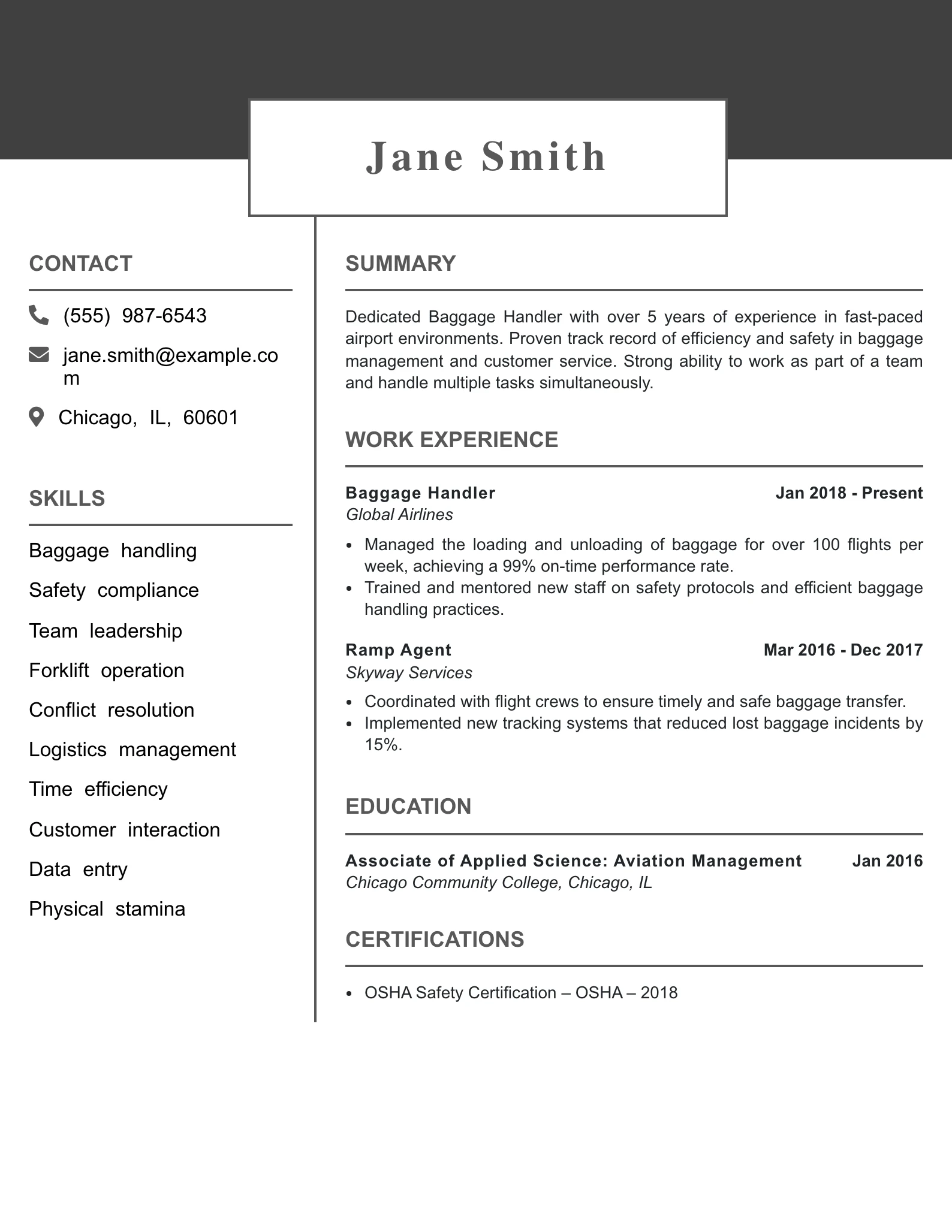 Mid Level Baggage Handler Resume Example