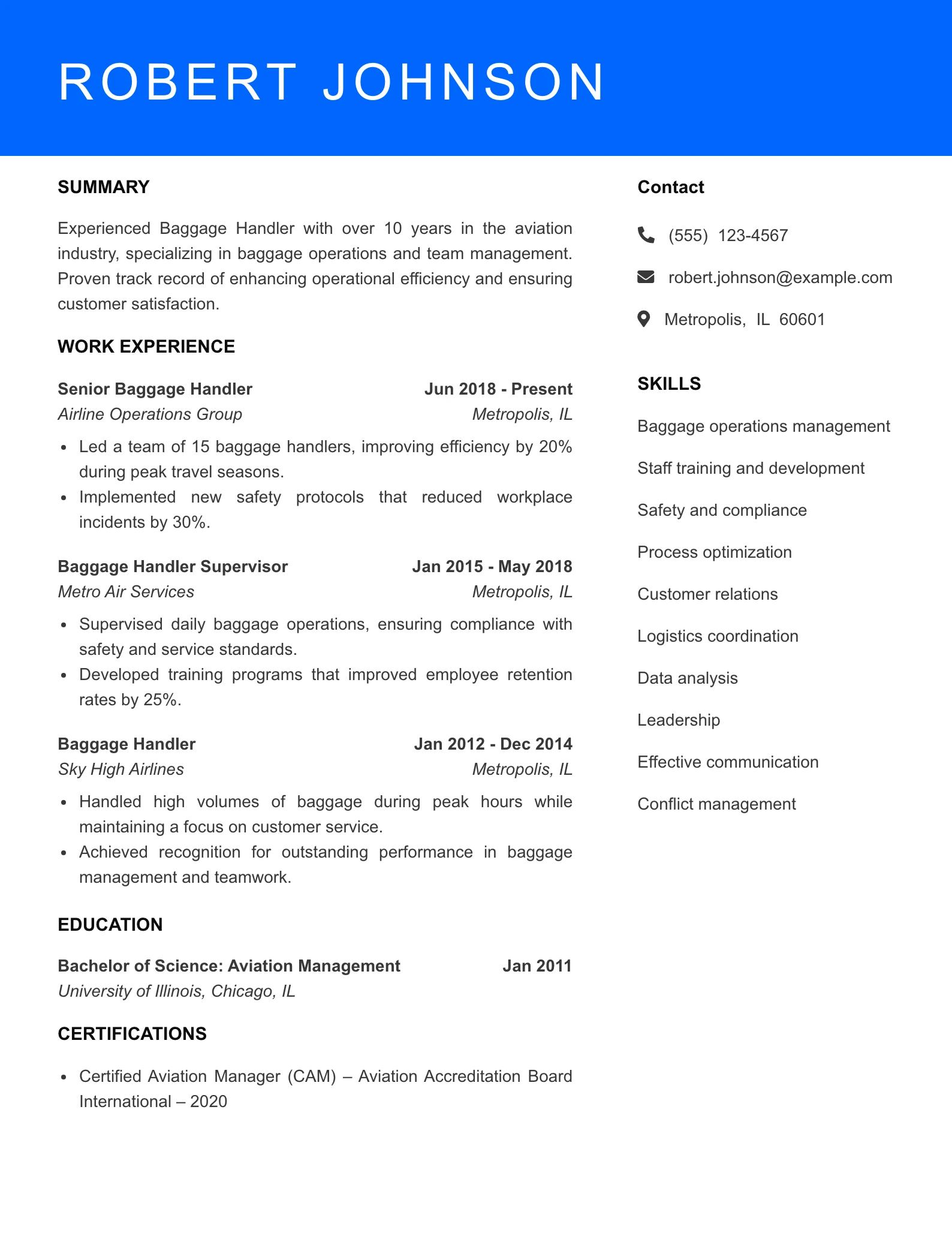 Senior Level Baggage Handler Resume Sample