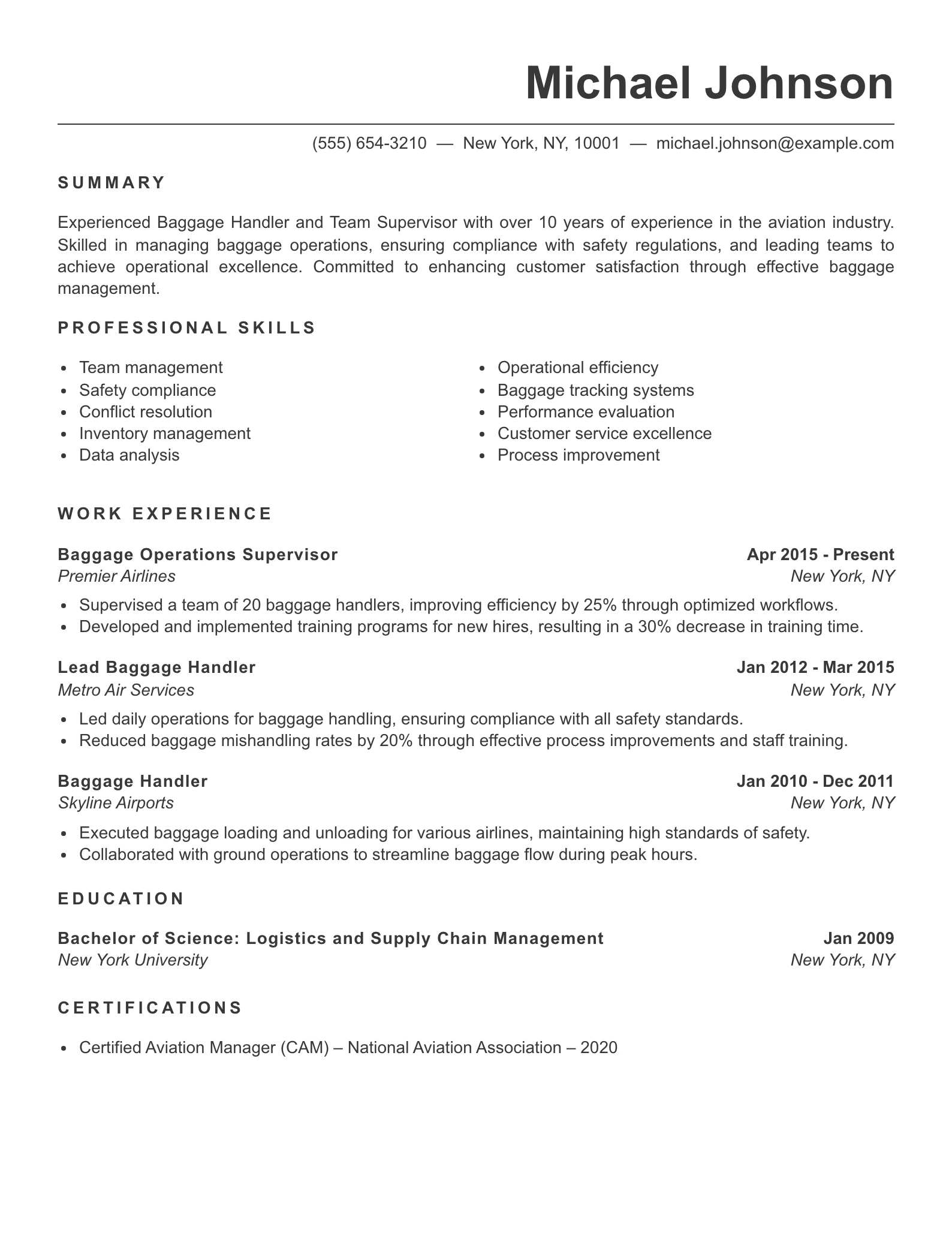Senior Level Baggage Handler Resume Example