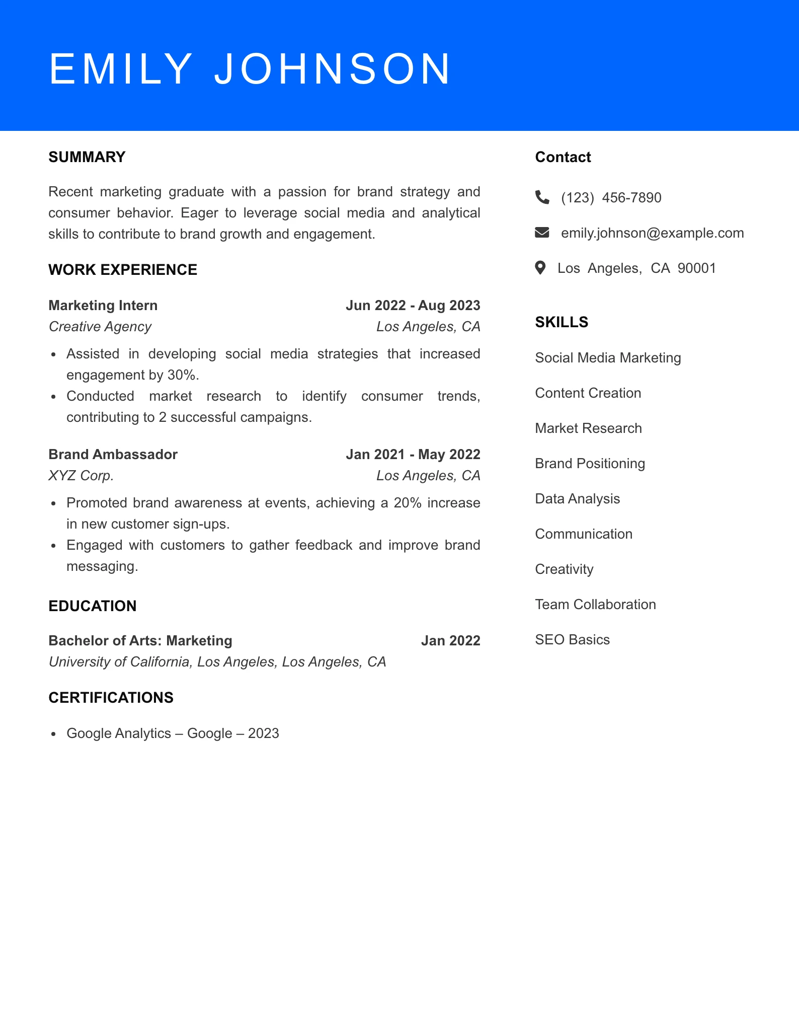 Selected Brand Strategist Resume