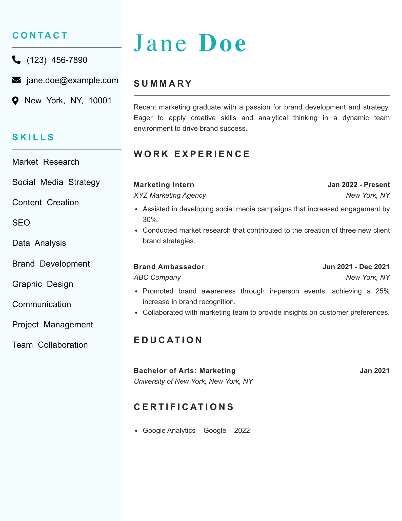 Entry Level Brand Strategist Resume Example