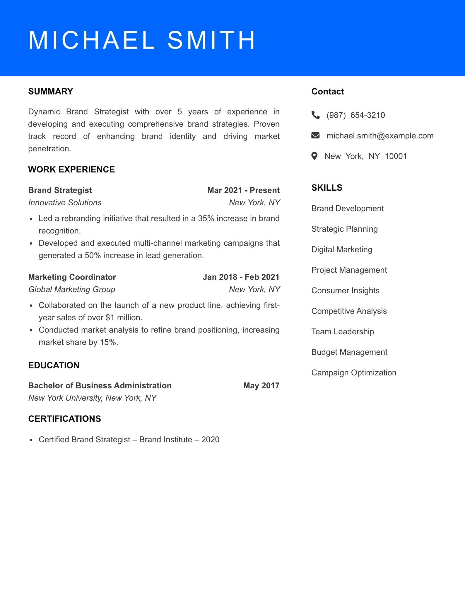 Mid Level Brand Strategist Resume Sample