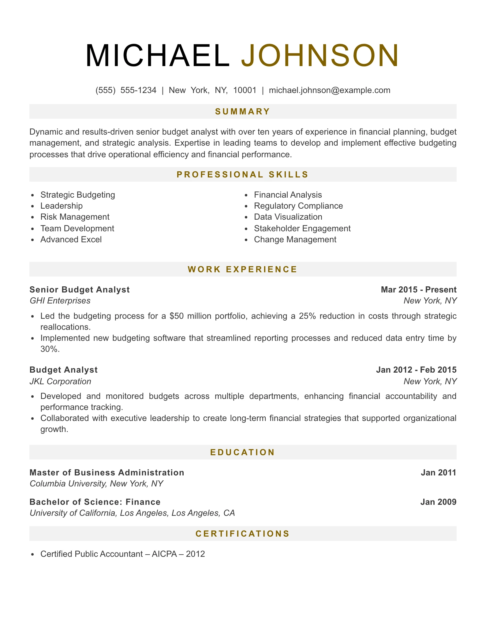 Senior Level Budget Analyst Resume Example