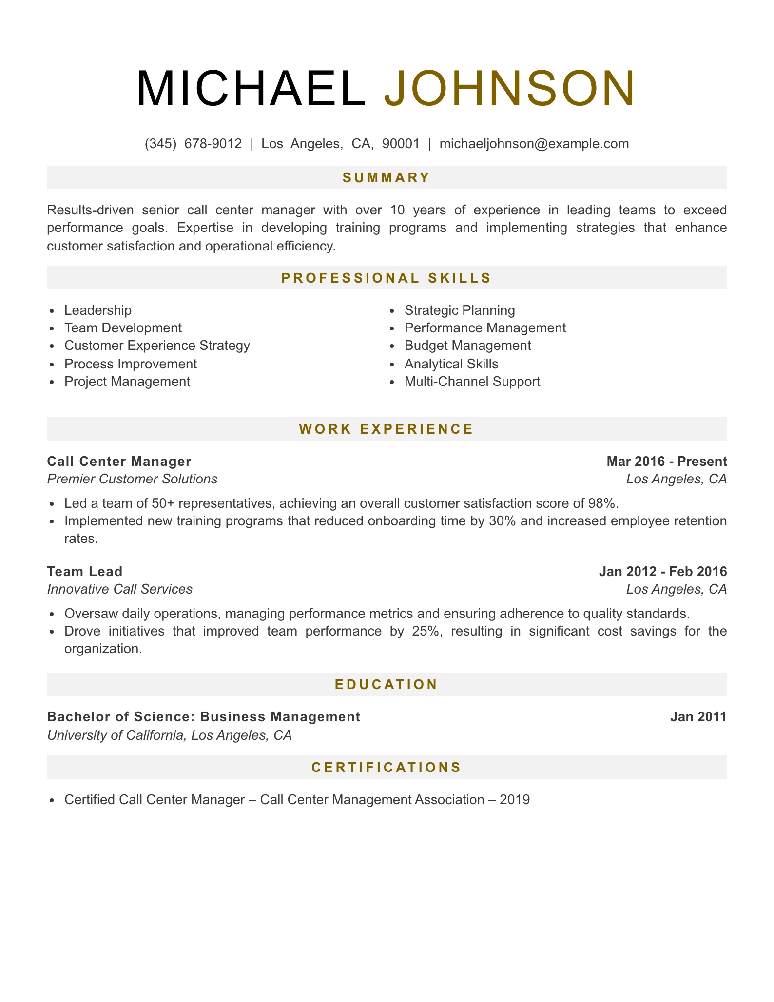 Senior Level Call Center Rep Resume Example