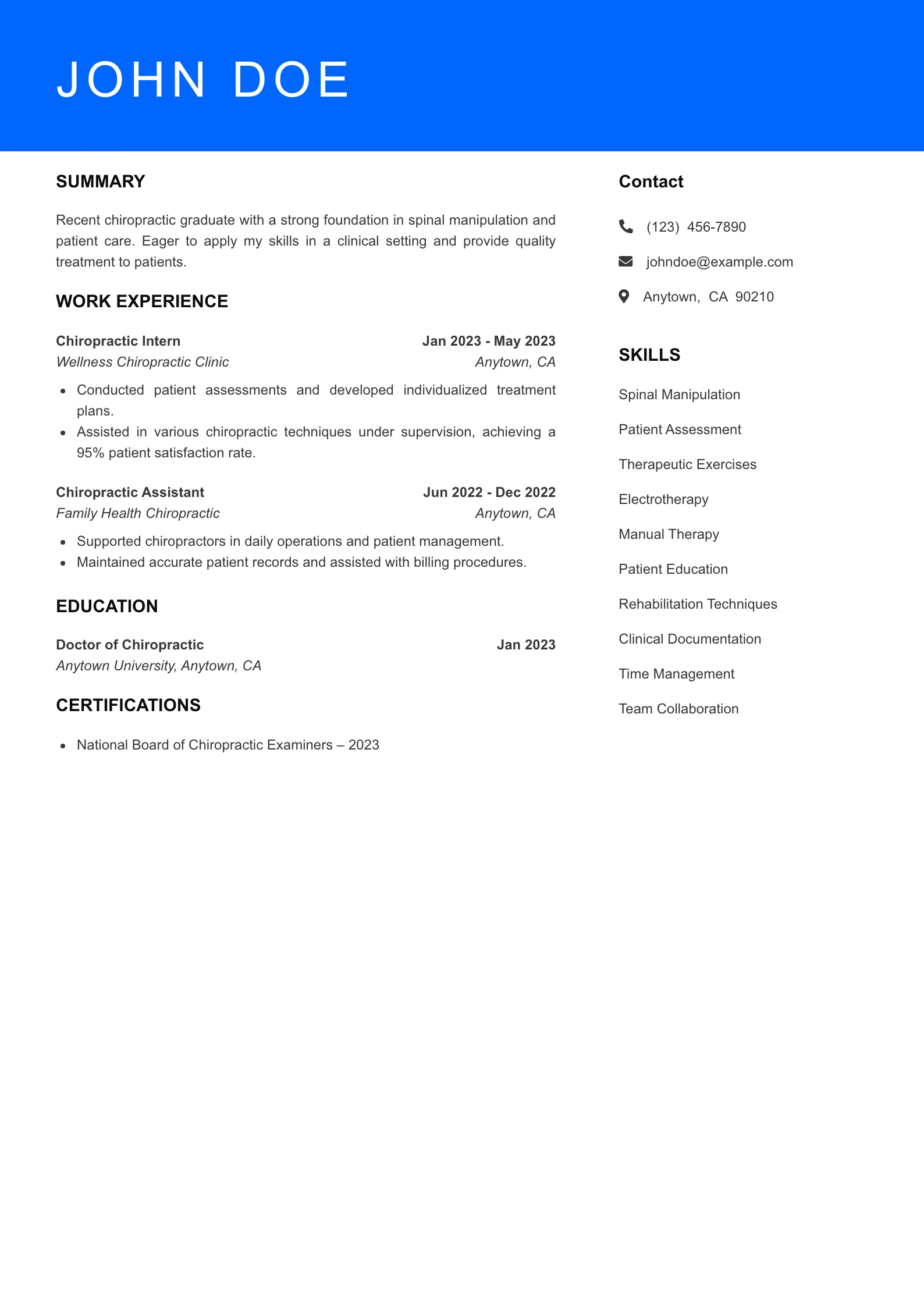 Selected Chiropractor Resume