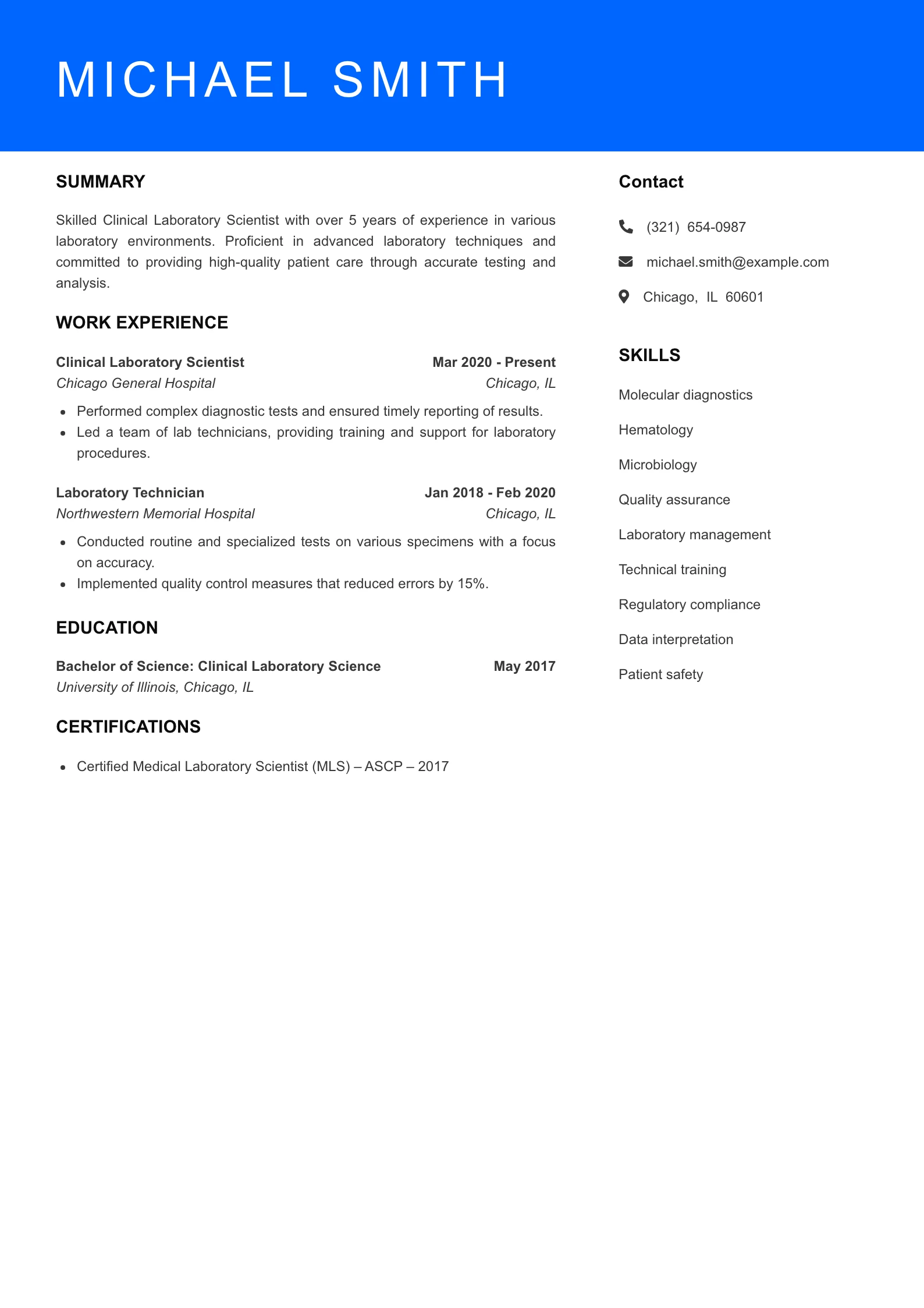Mid Level Resume Preview