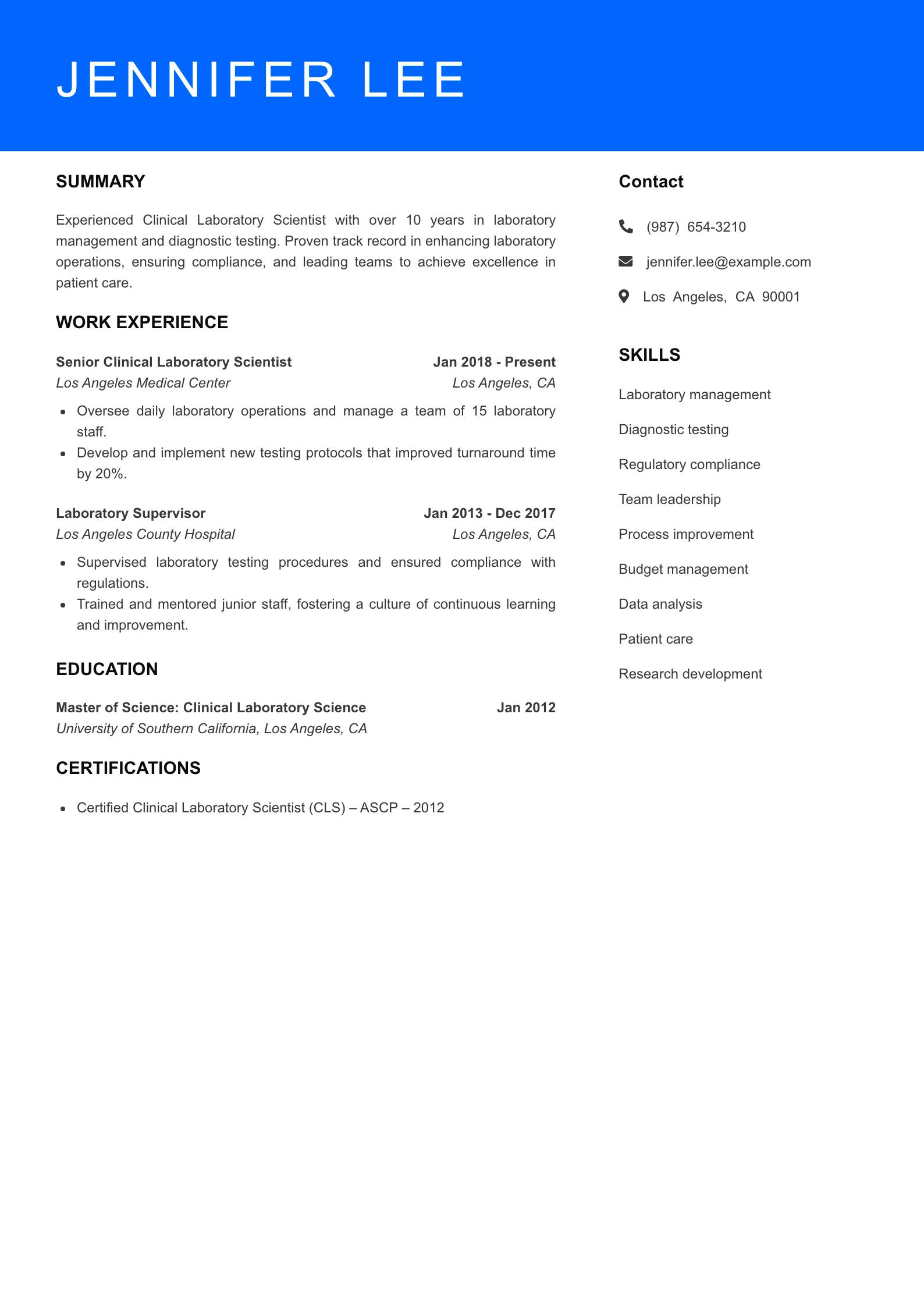 Senior Level Resume Preview