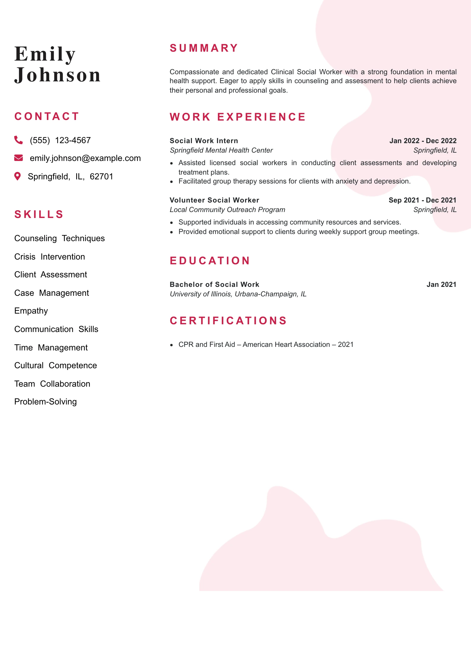 Entry Level Clinical Social Worker Resume Example