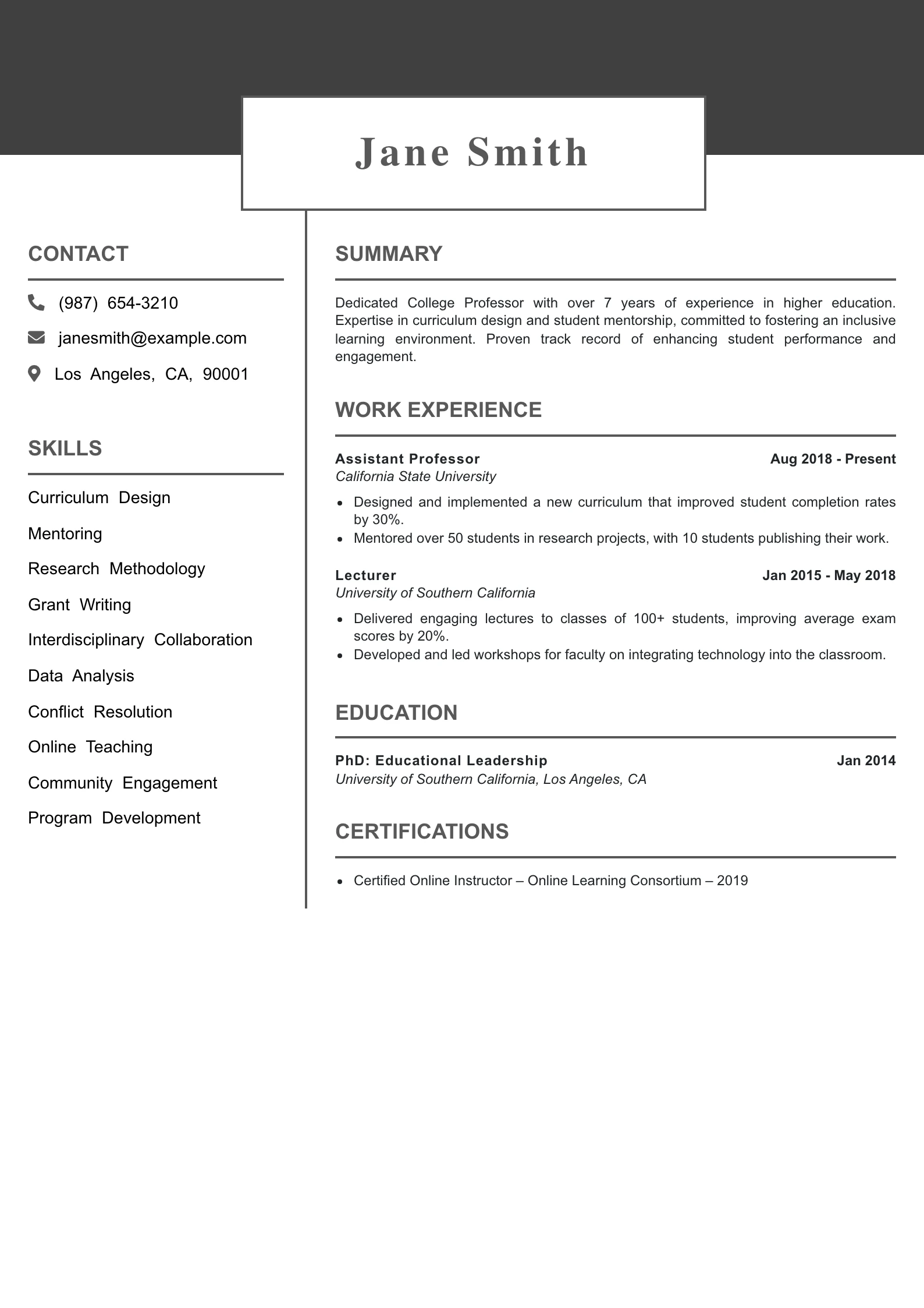 Mid Level College Professor Resume Example