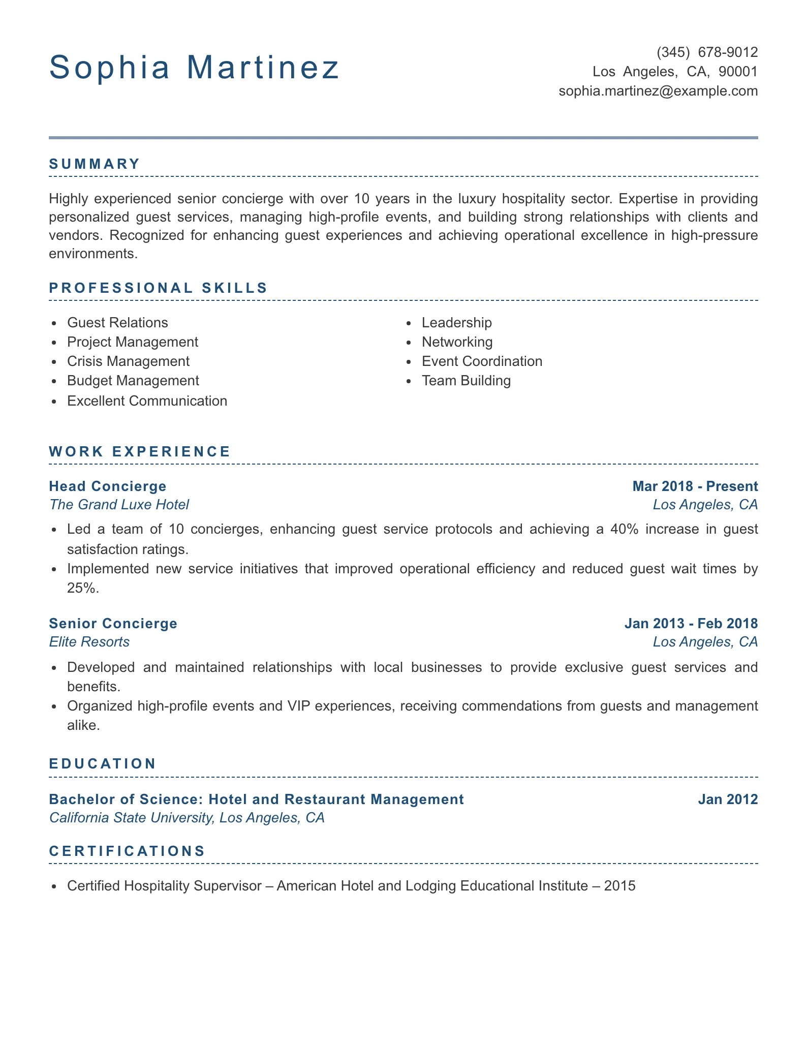 Senior Level Concierge Resume Example
