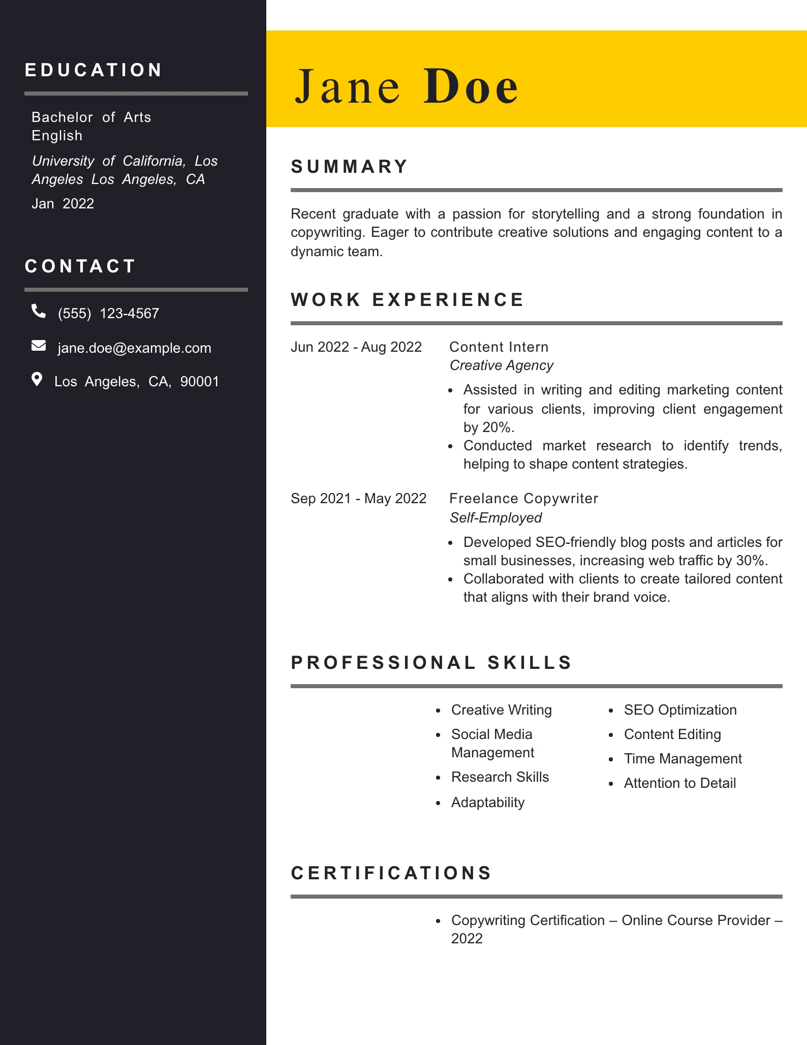 Entry Level Copywriter Resume Example