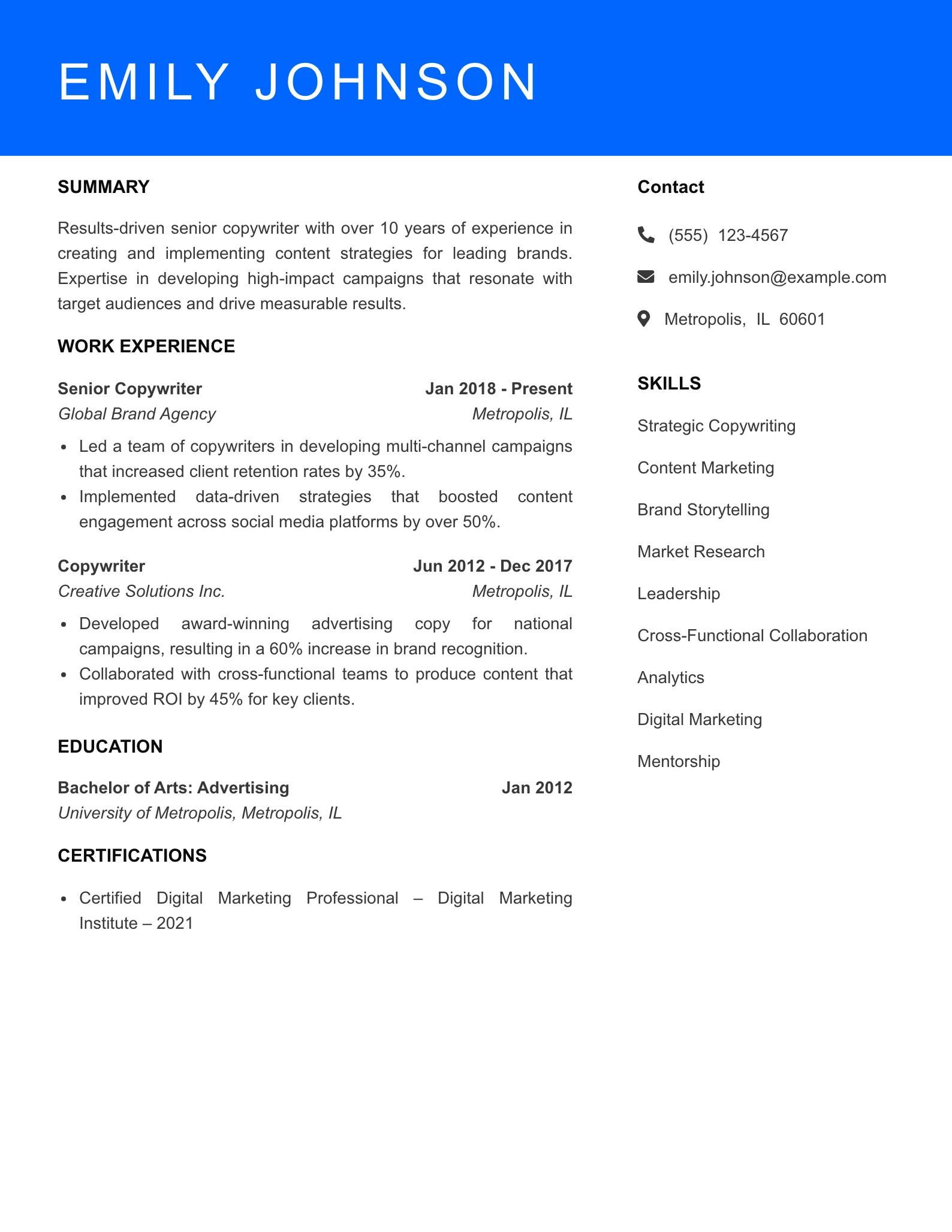 Senior Level Resume Preview