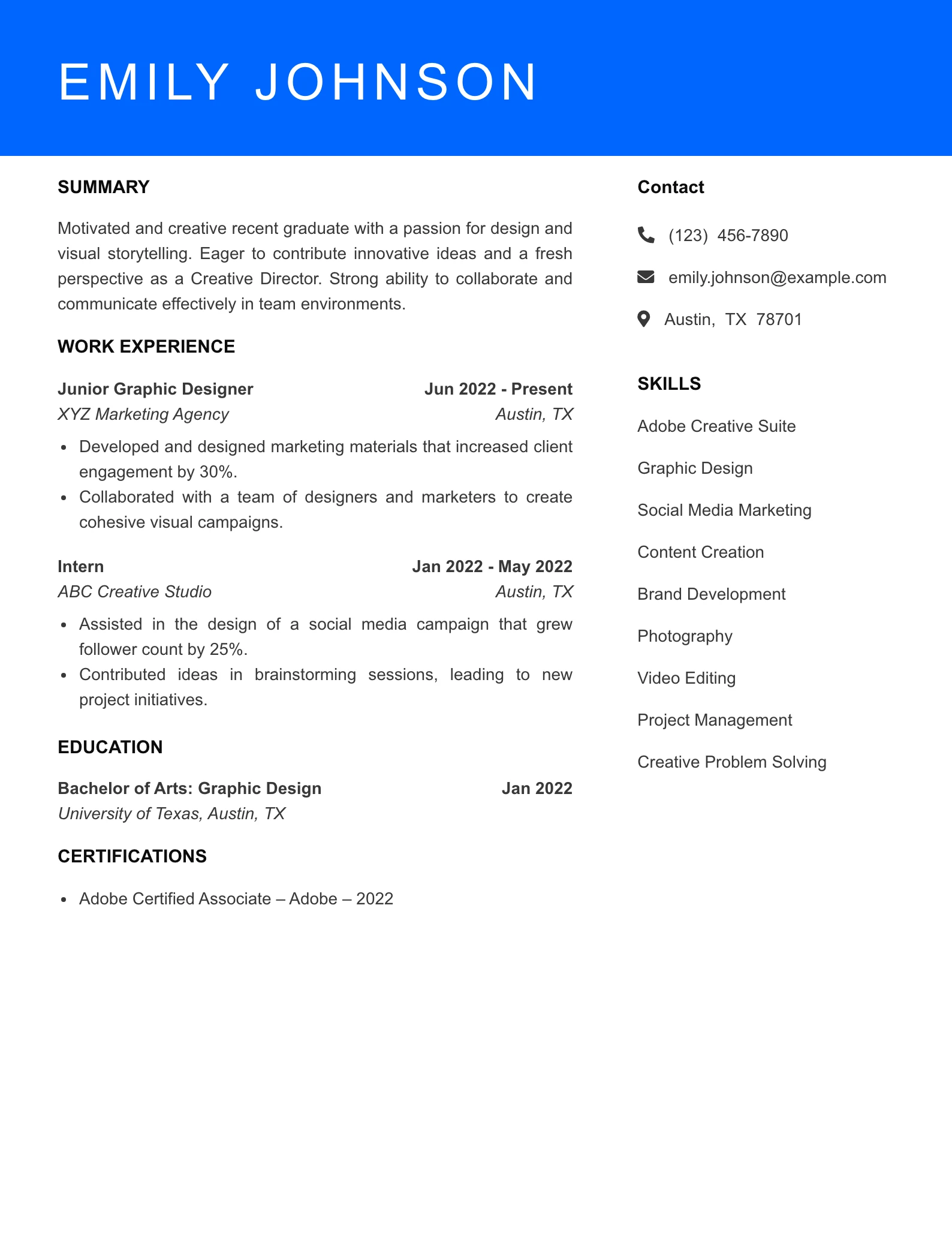 Selected Creative Director Resume