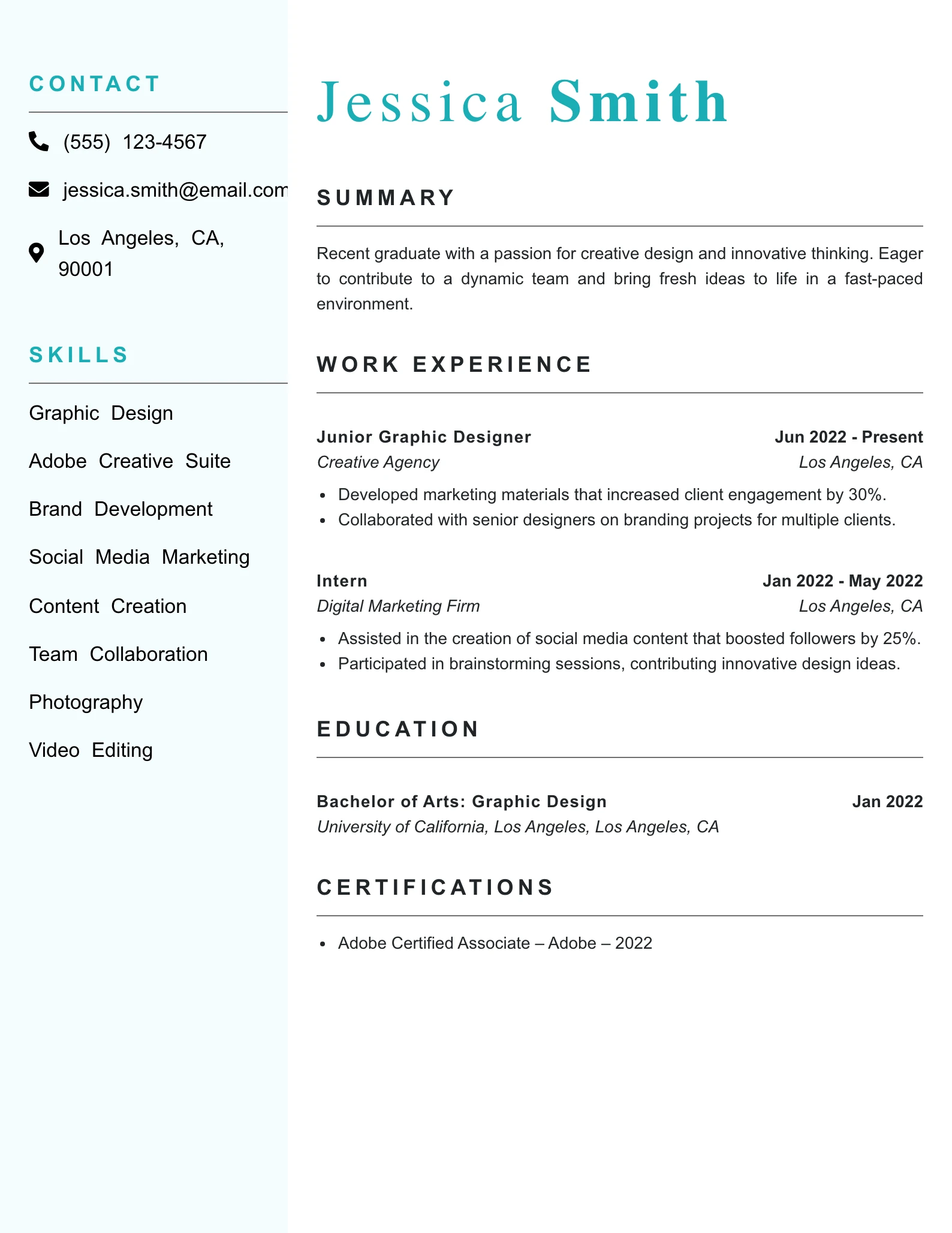 Entry Level Creative Director Resume Example