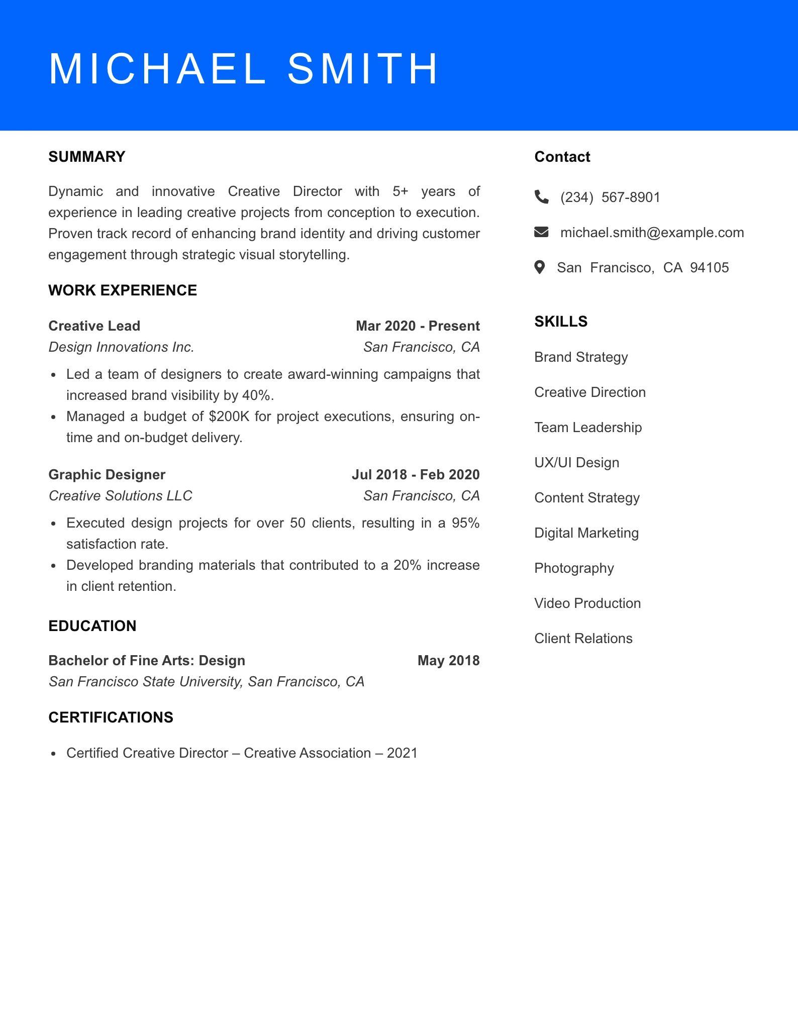 Mid Level Creative Director Resume Sample