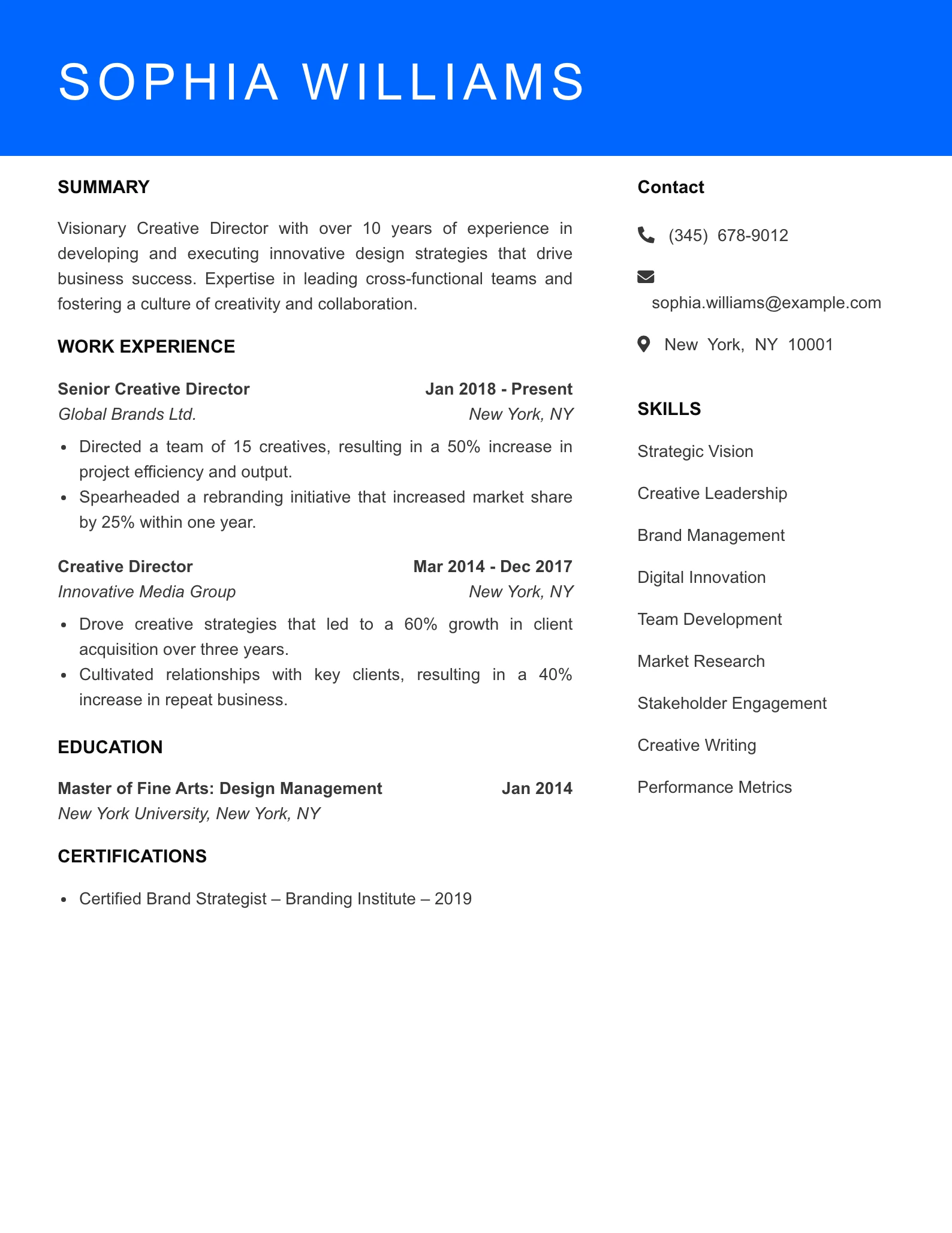 Senior Level Creative Director Resume Sample