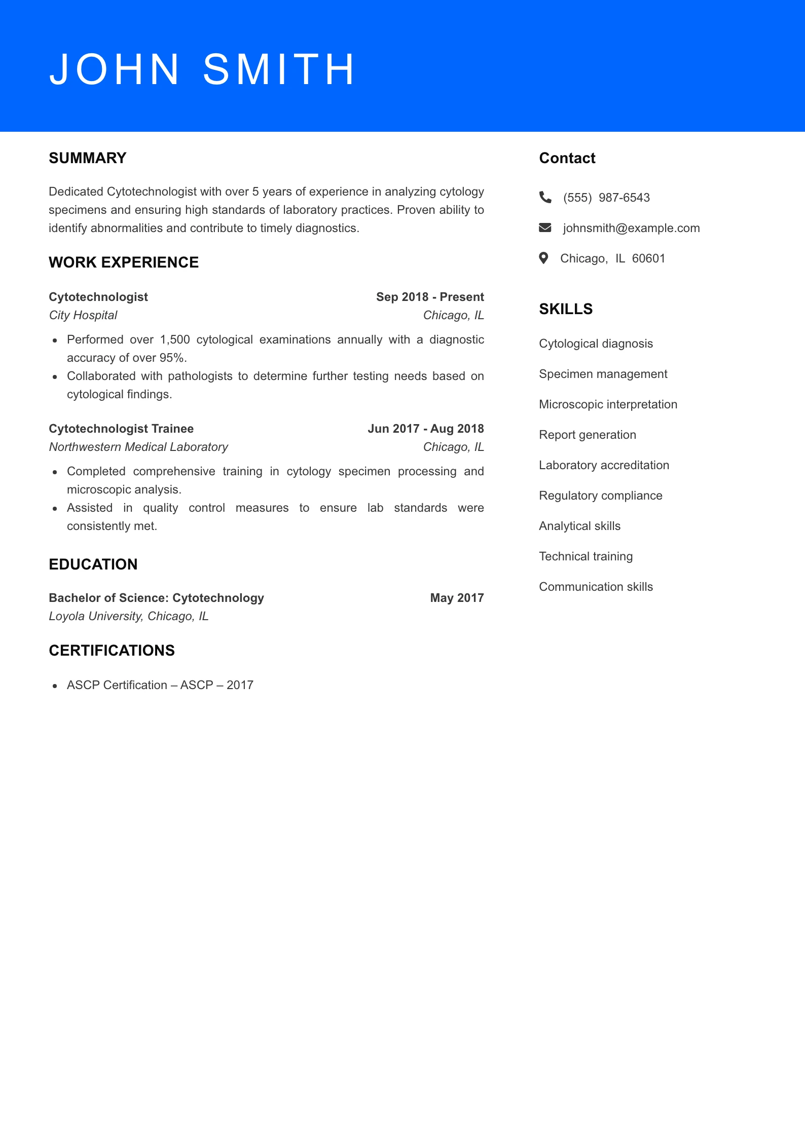 Mid Level Resume Preview