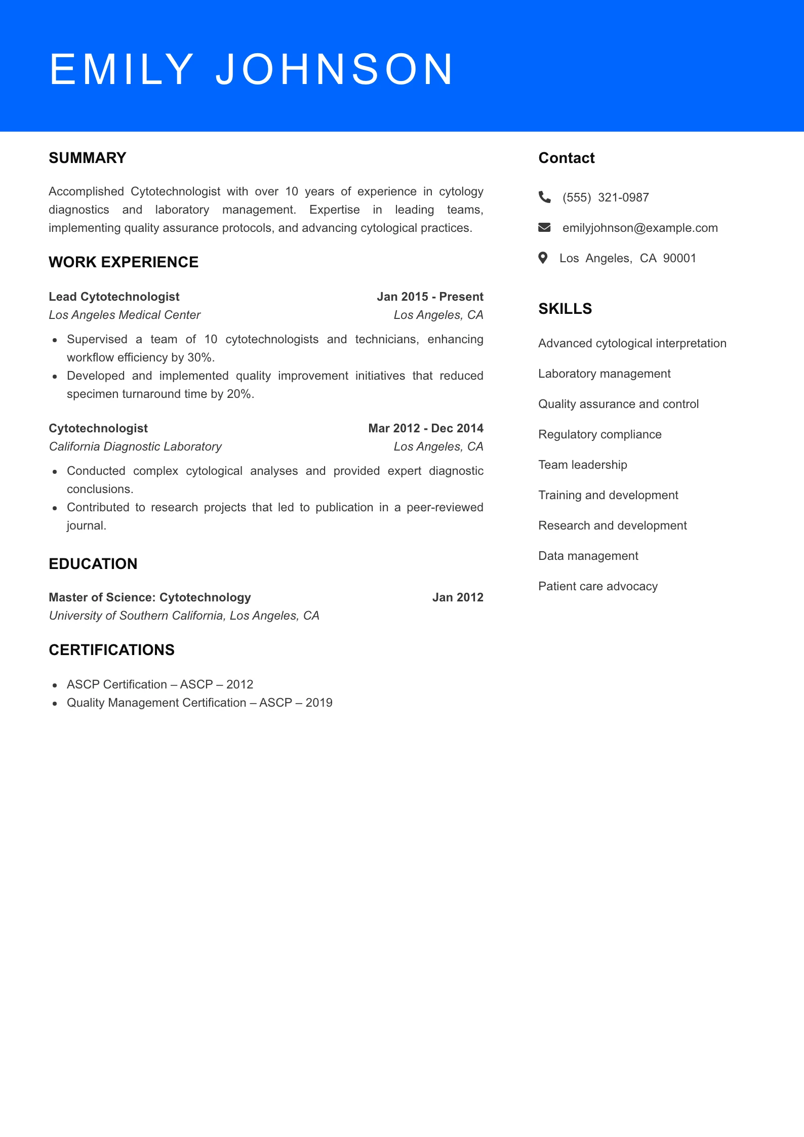 Senior Level Resume Preview
