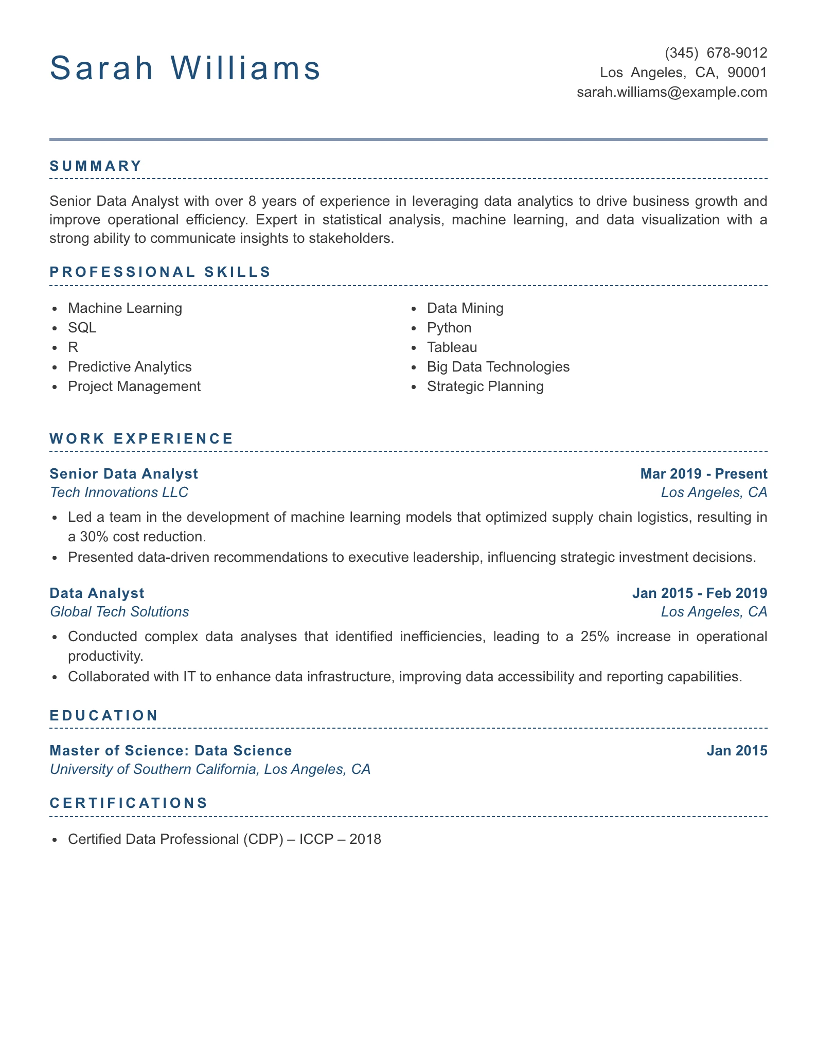 Senior Level Data Analyst Resume Example