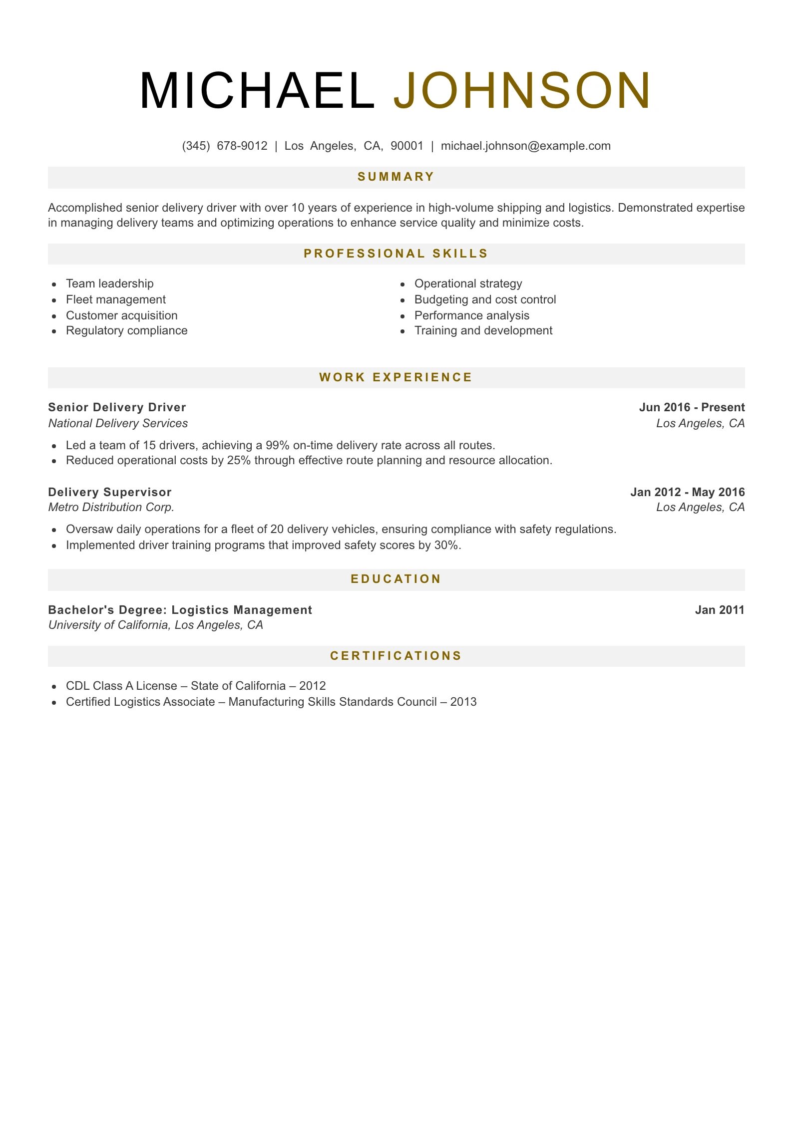 Senior Level Delivery Driver Resume Example