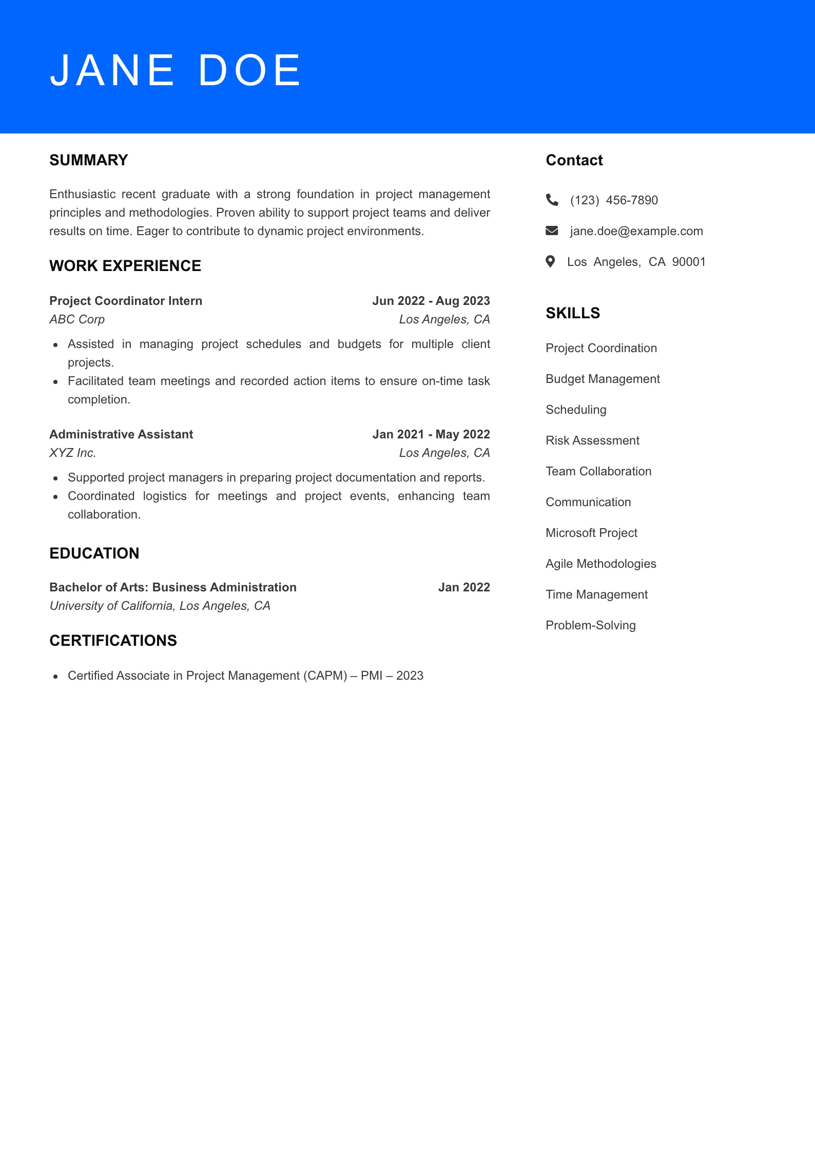 Entry Level Project Manager Resume Example
