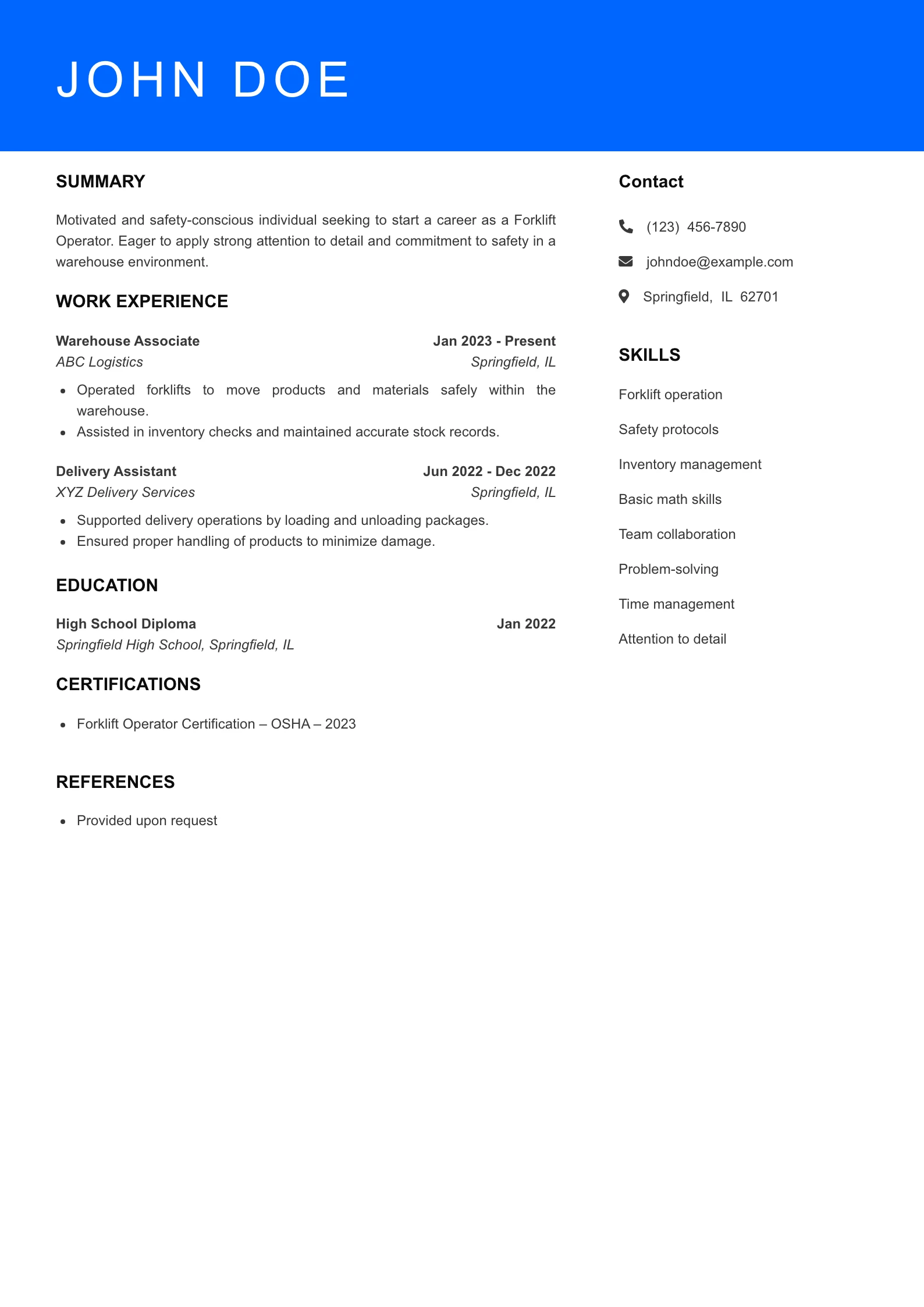Entry Level Resume Preview
