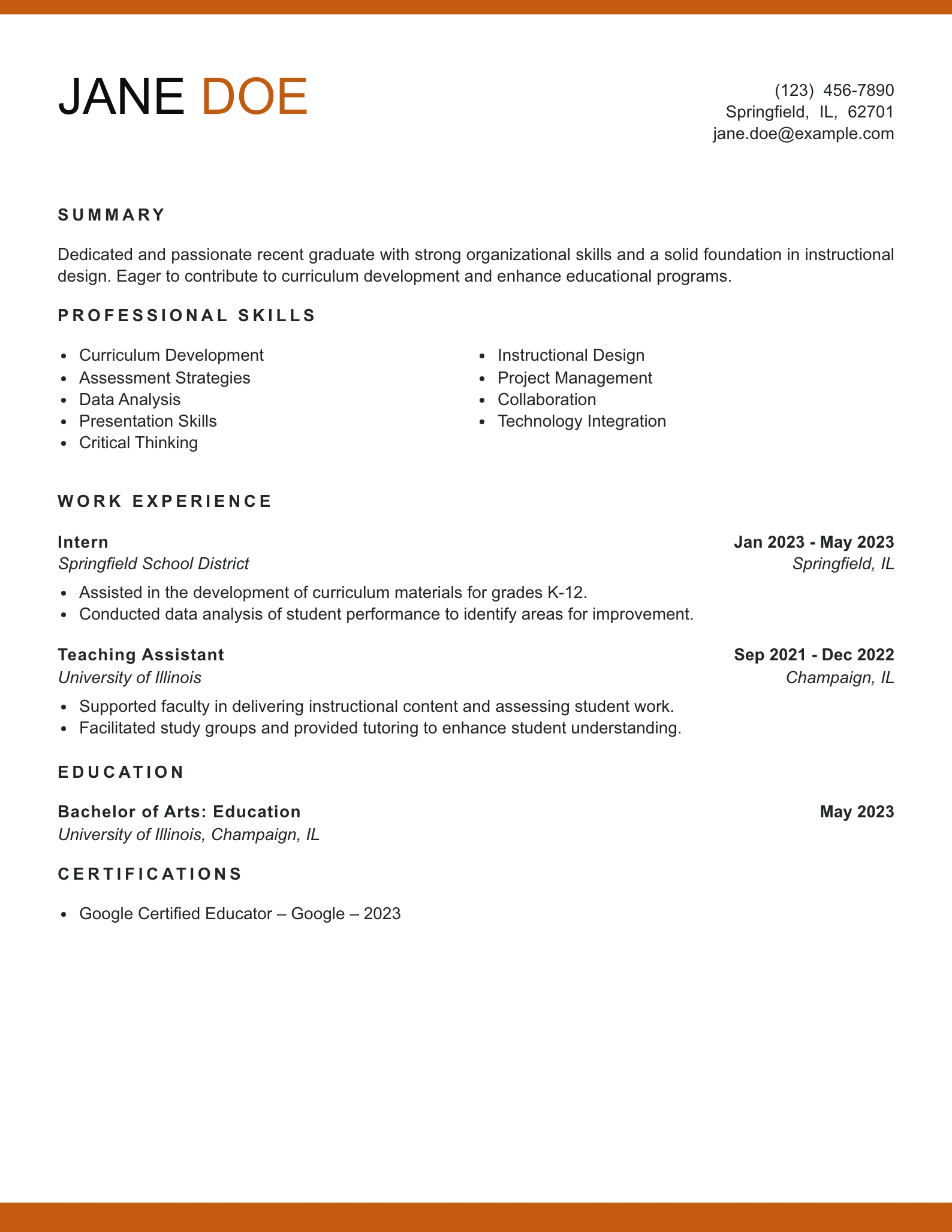 Entry Level Instructional Coordinator Resume Example