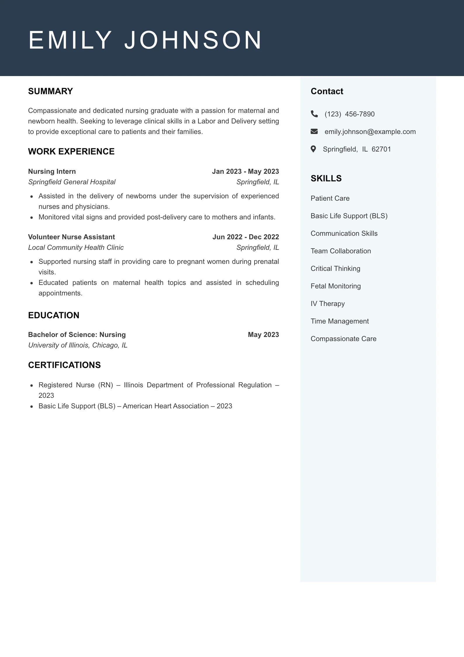 Entry Level Labor and Delivery Nurse Resume Example