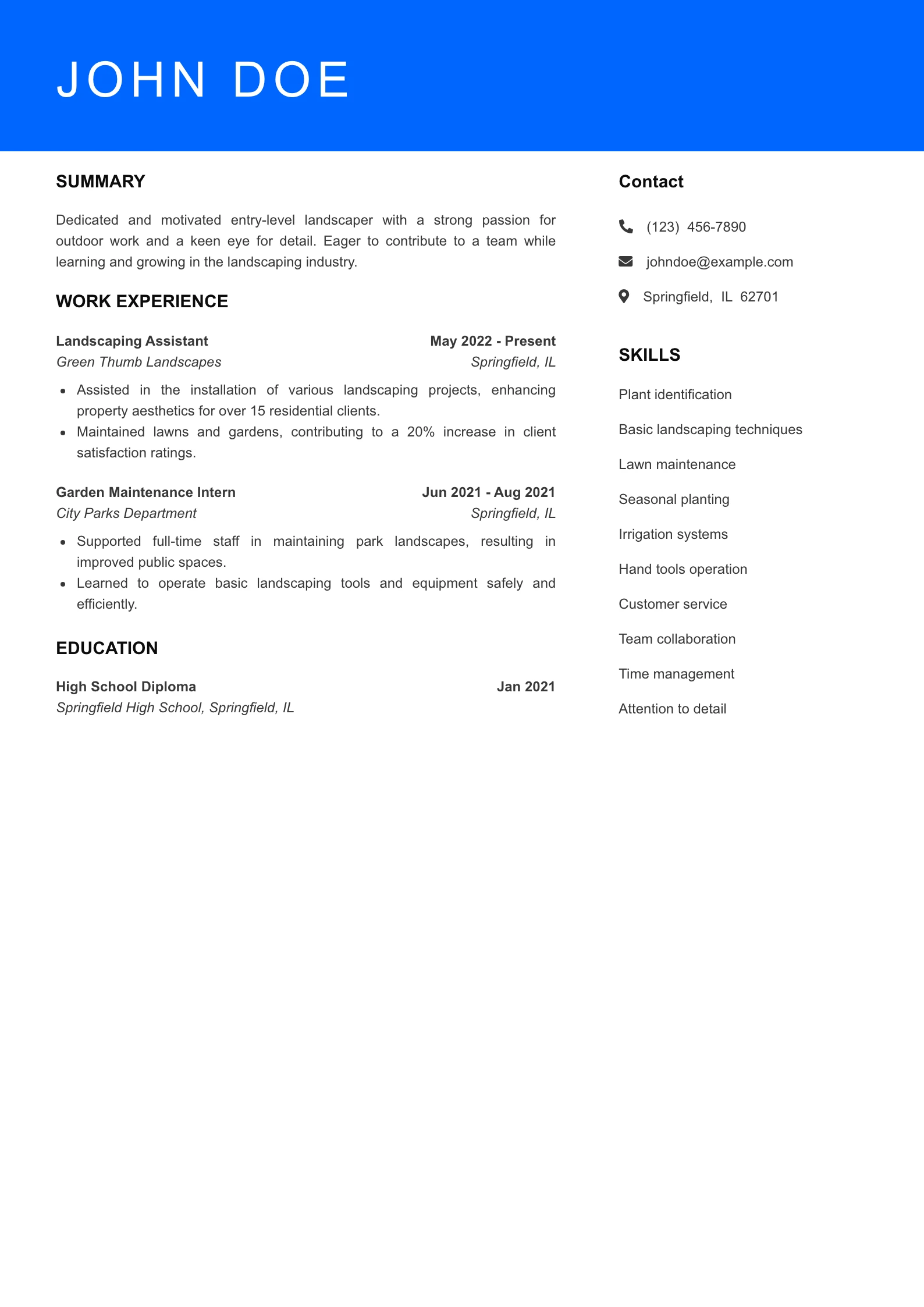 Entry Level Resume Preview