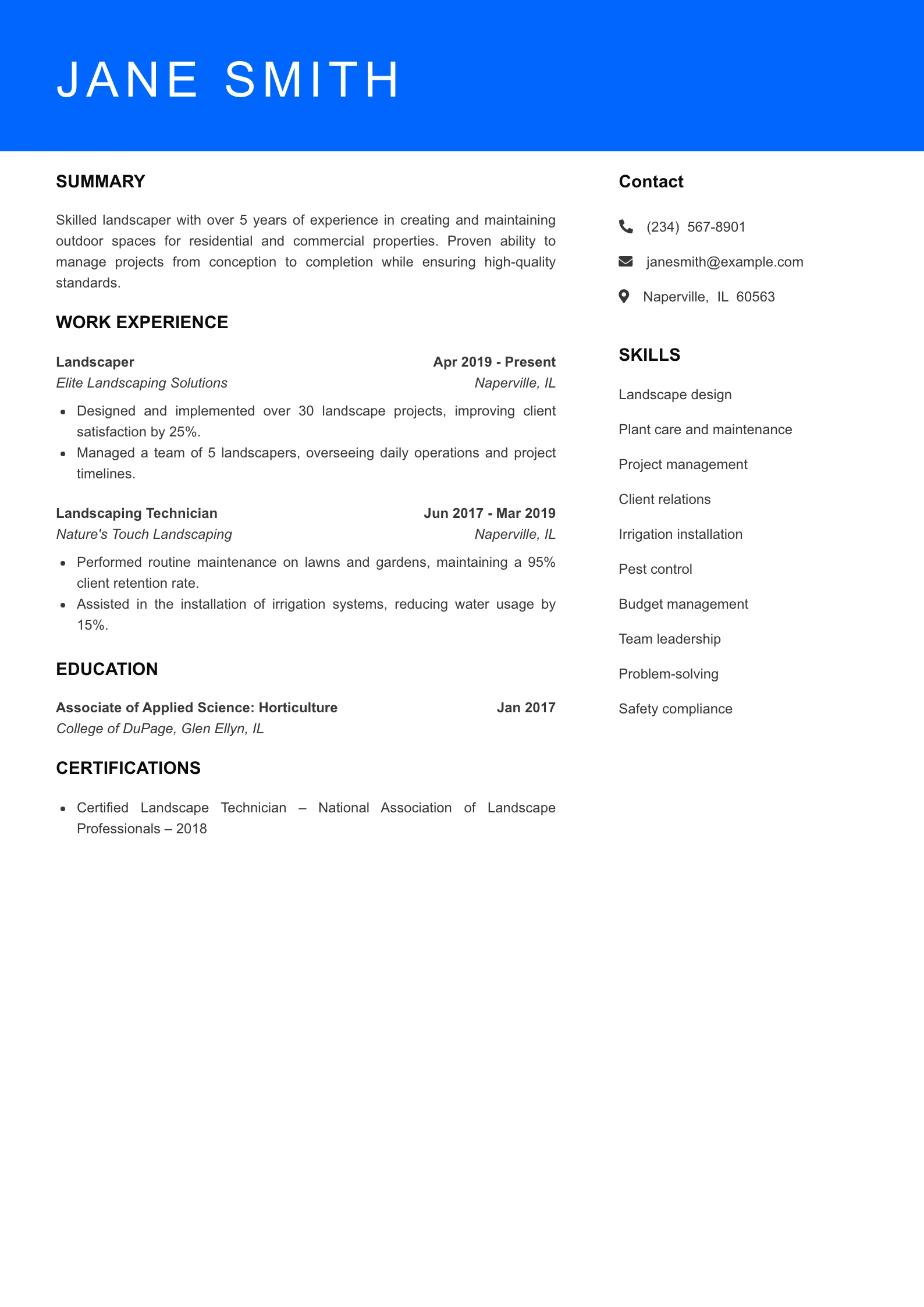 Mid Level Resume Preview