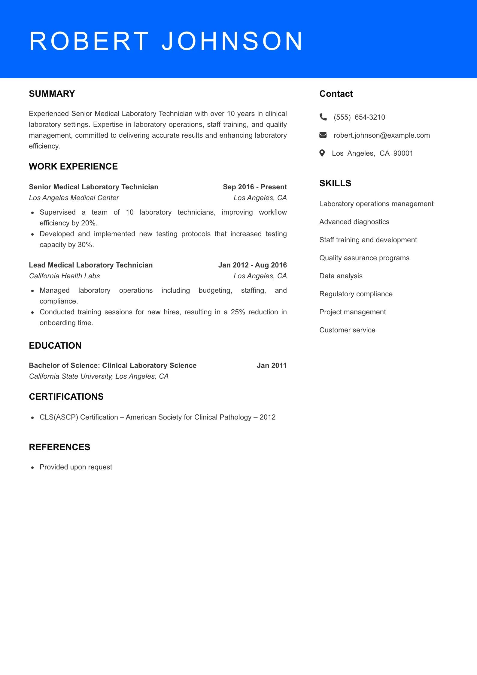 Senior Level Resume Preview