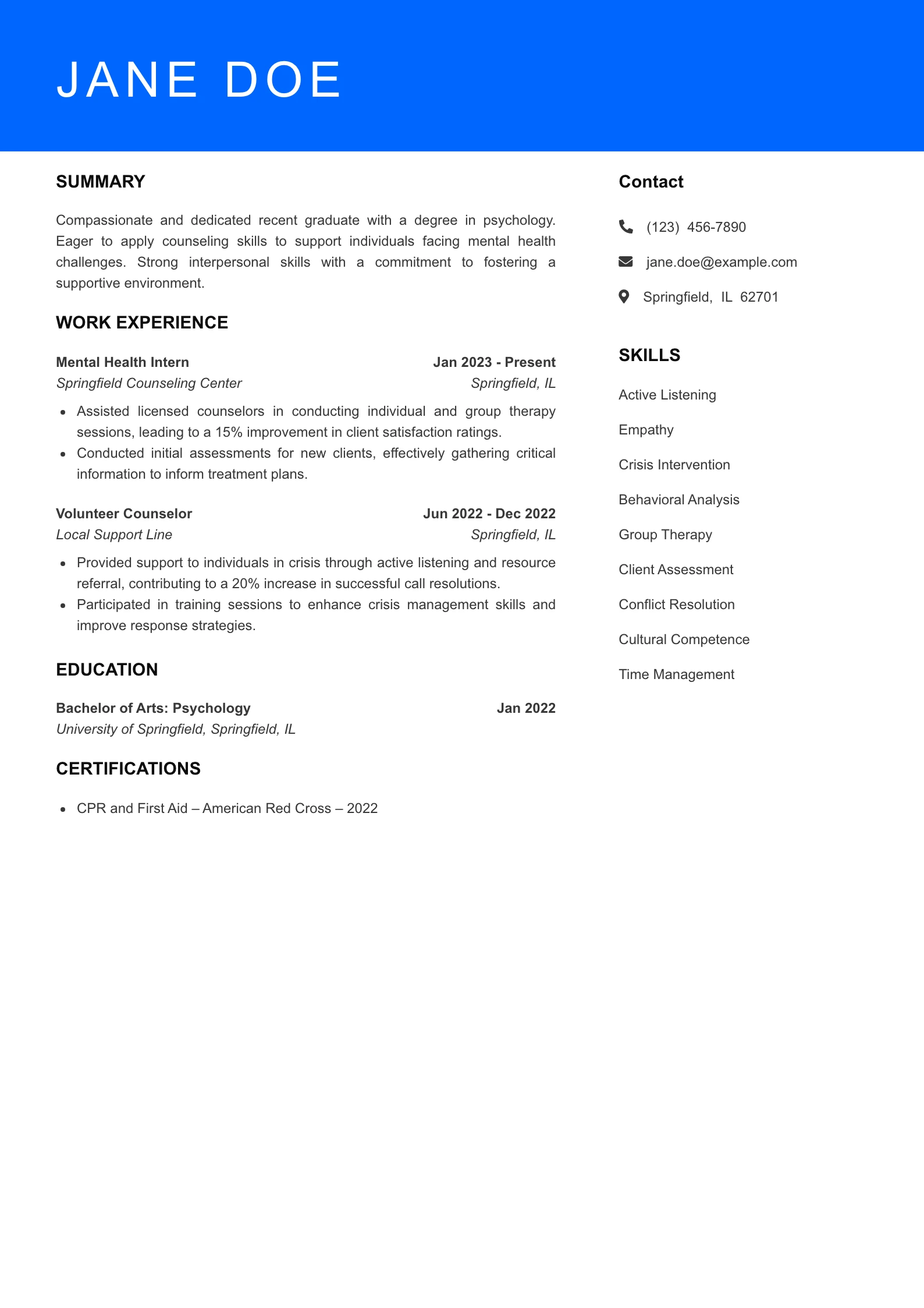Entry Level Resume Preview