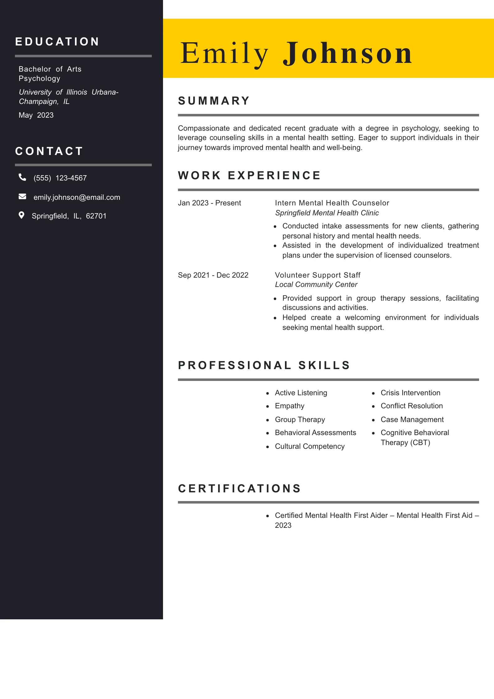 Entry Level Mental Health Counselor Resume Example