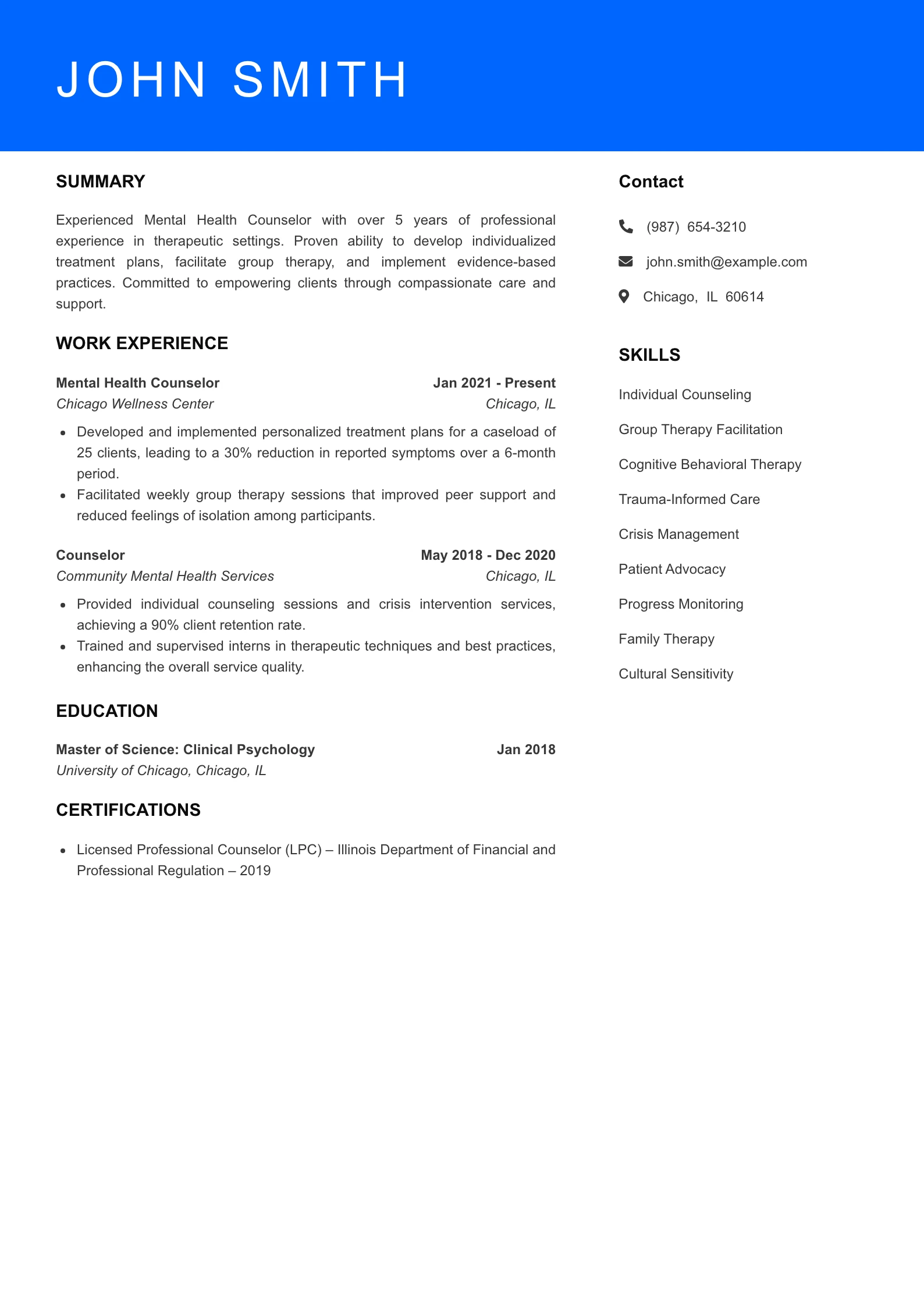 Mid Level Resume Preview