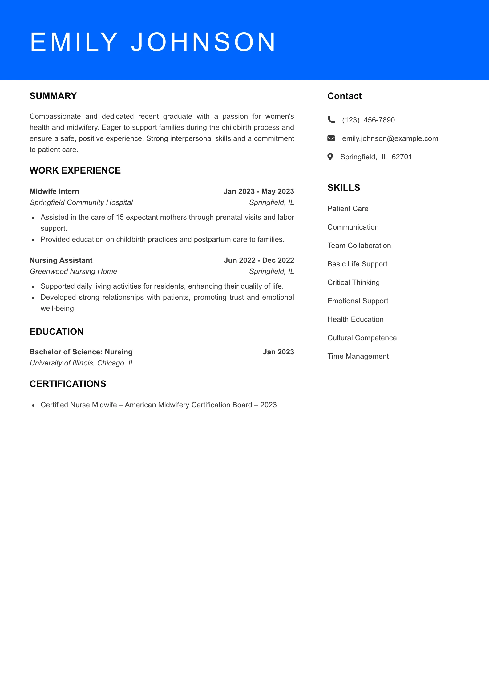 Entry Level Resume Preview