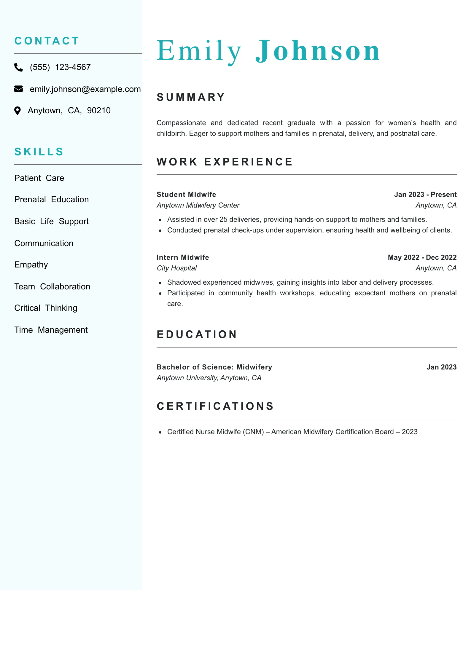 Entry Level Midwife Resume Example