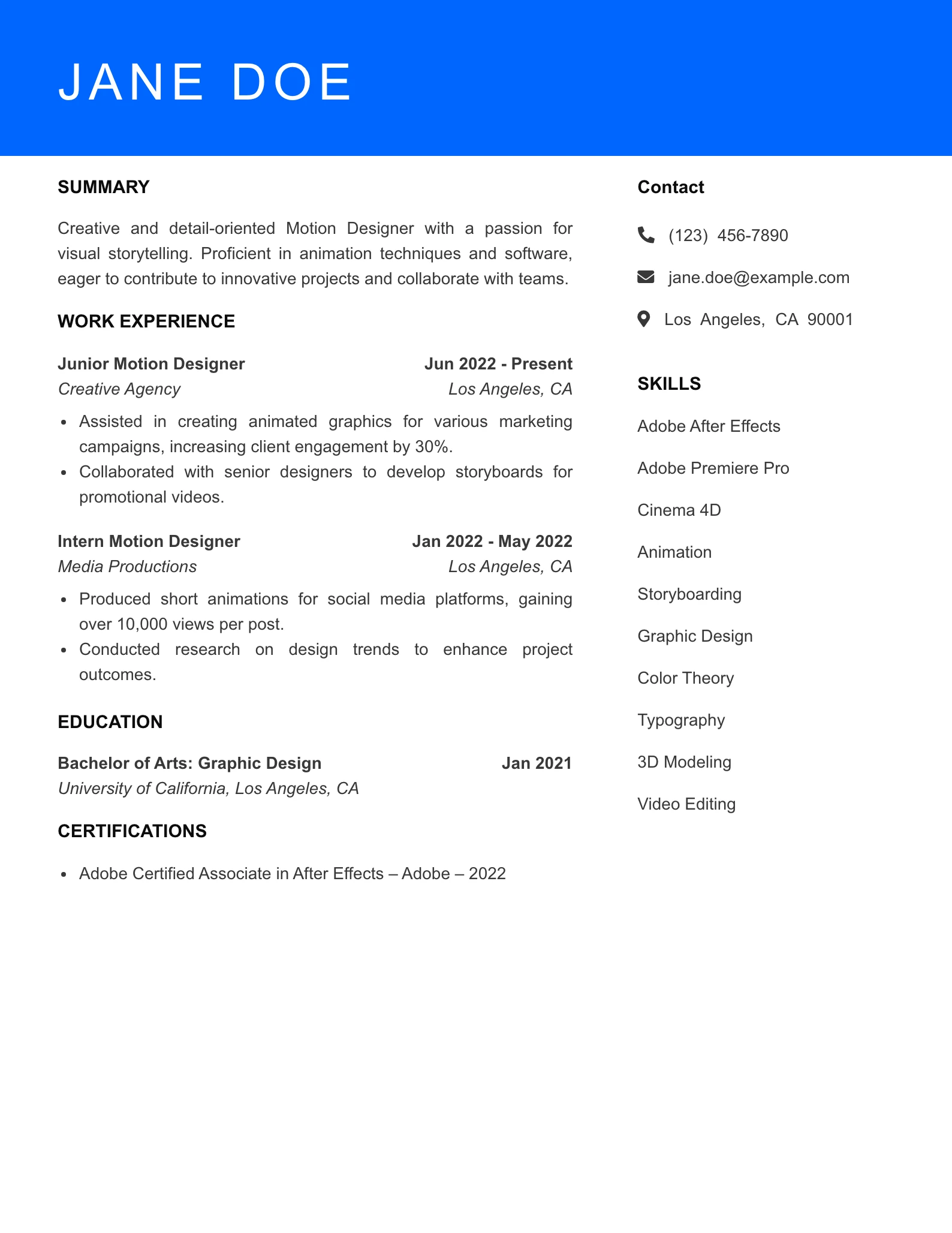 Selected Motion Designer Resume