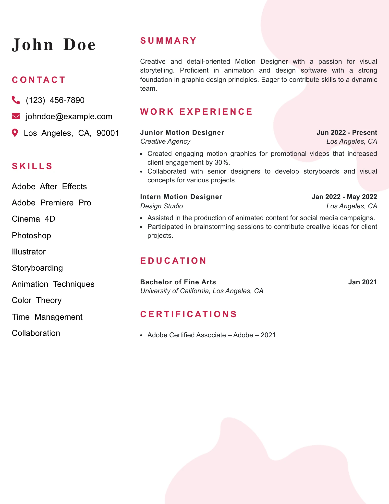 Entry Level Motion Designer Resume Example